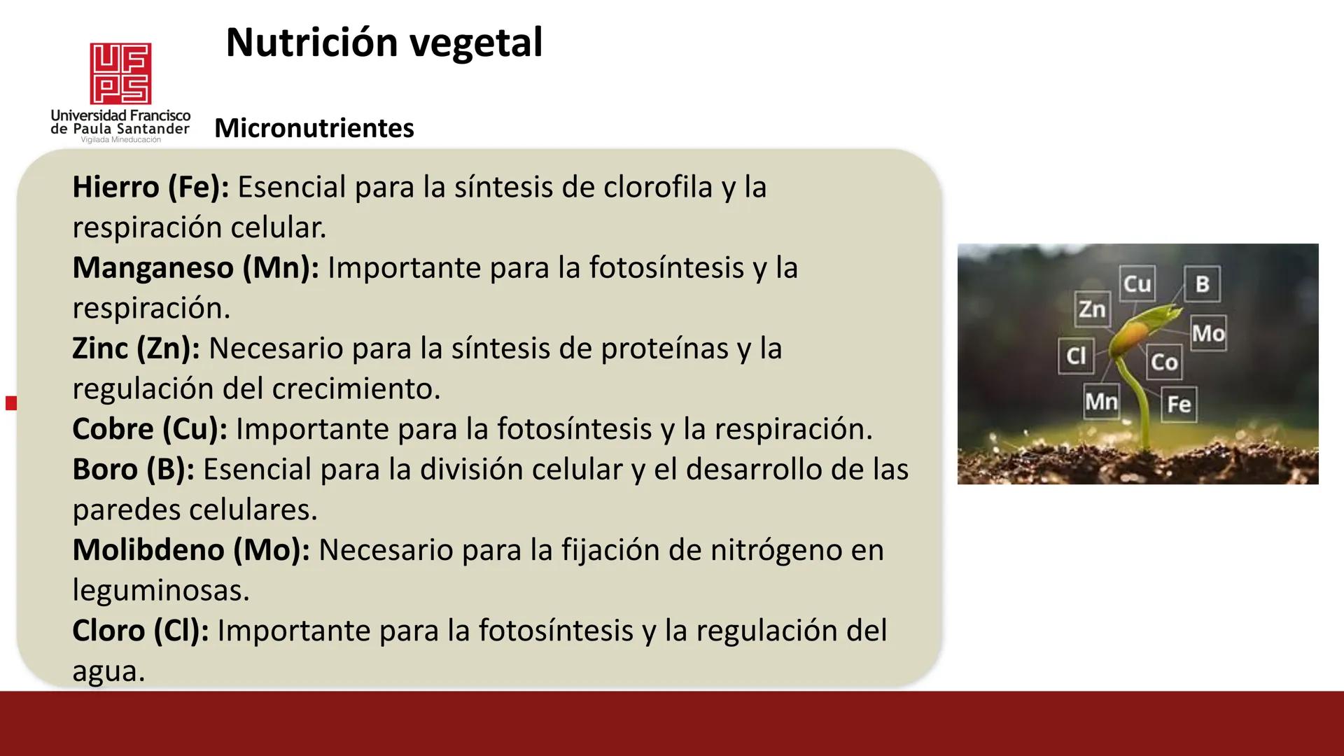# UF
# PS
Universidad Francisco
de Paula Santander
Vigilada Mineducación
# Universidad Francisco de Paula Santander
## Ingeniería Agronómica