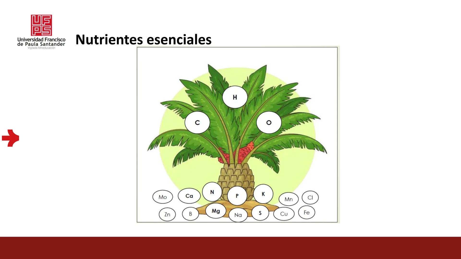 # UF
# PS
Universidad Francisco
de Paula Santander
Vigilada Mineducación
# Universidad Francisco de Paula Santander
## Ingeniería Agronómica