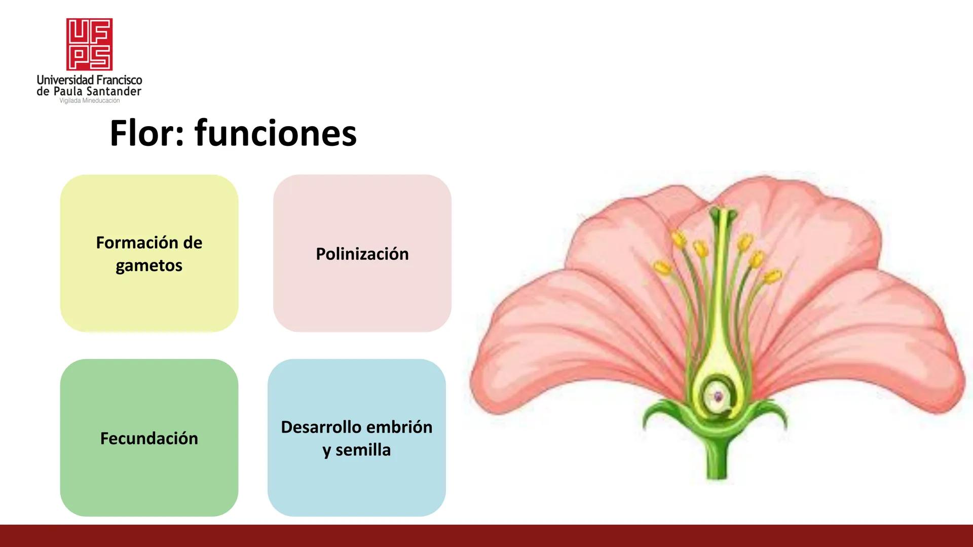 # UF
# PS
Universidad Francisco
de Paula Santander
Vigilada Mineducación
# Universidad Francisco de Paula Santander
## Ingeniería Agronómica