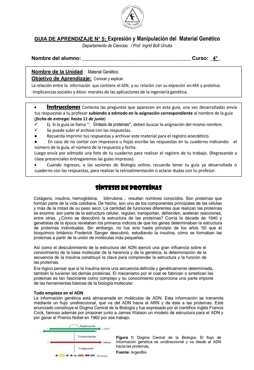 --- OCR Start ---
GIO CONCEPCIO
GUIA DE APRENDIZAJE N° 5: Expresión y Manipulación del Material Genético
Departamento de Ciencias / Prof. In