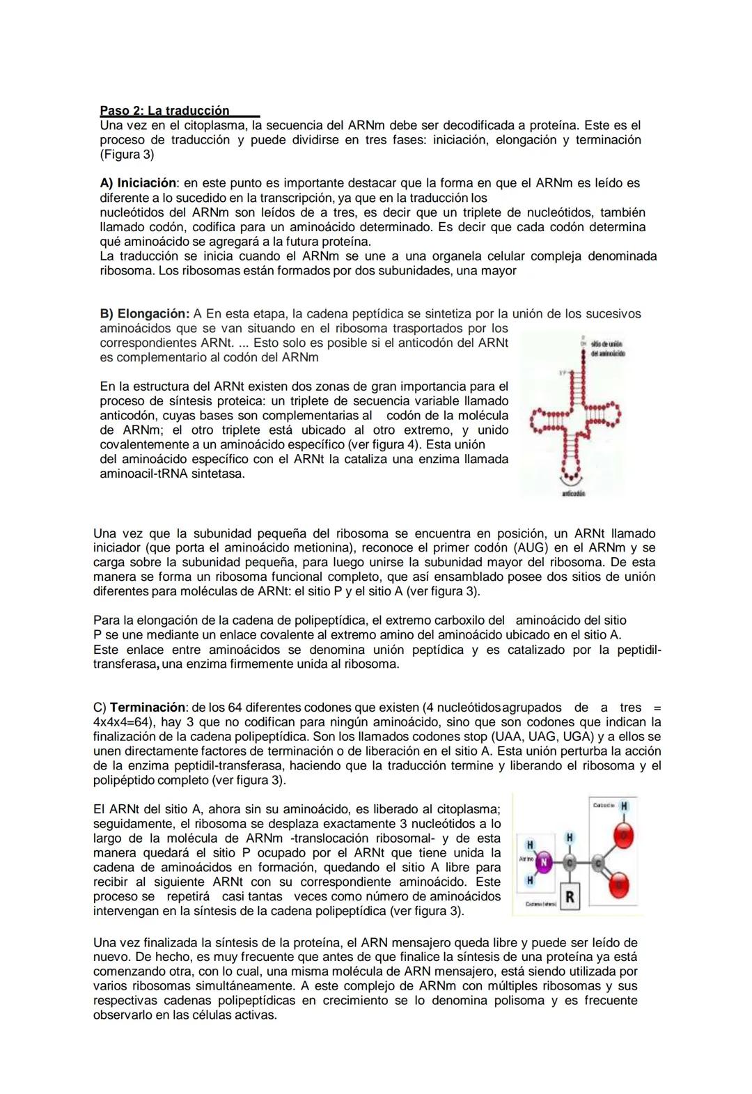 --- OCR Start ---
GIO CONCEPCIO
GUIA DE APRENDIZAJE N° 5: Expresión y Manipulación del Material Genético
Departamento de Ciencias / Prof. In