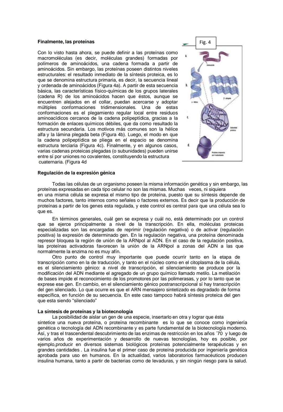 --- OCR Start ---
GIO CONCEPCIO
GUIA DE APRENDIZAJE N° 5: Expresión y Manipulación del Material Genético
Departamento de Ciencias / Prof. In