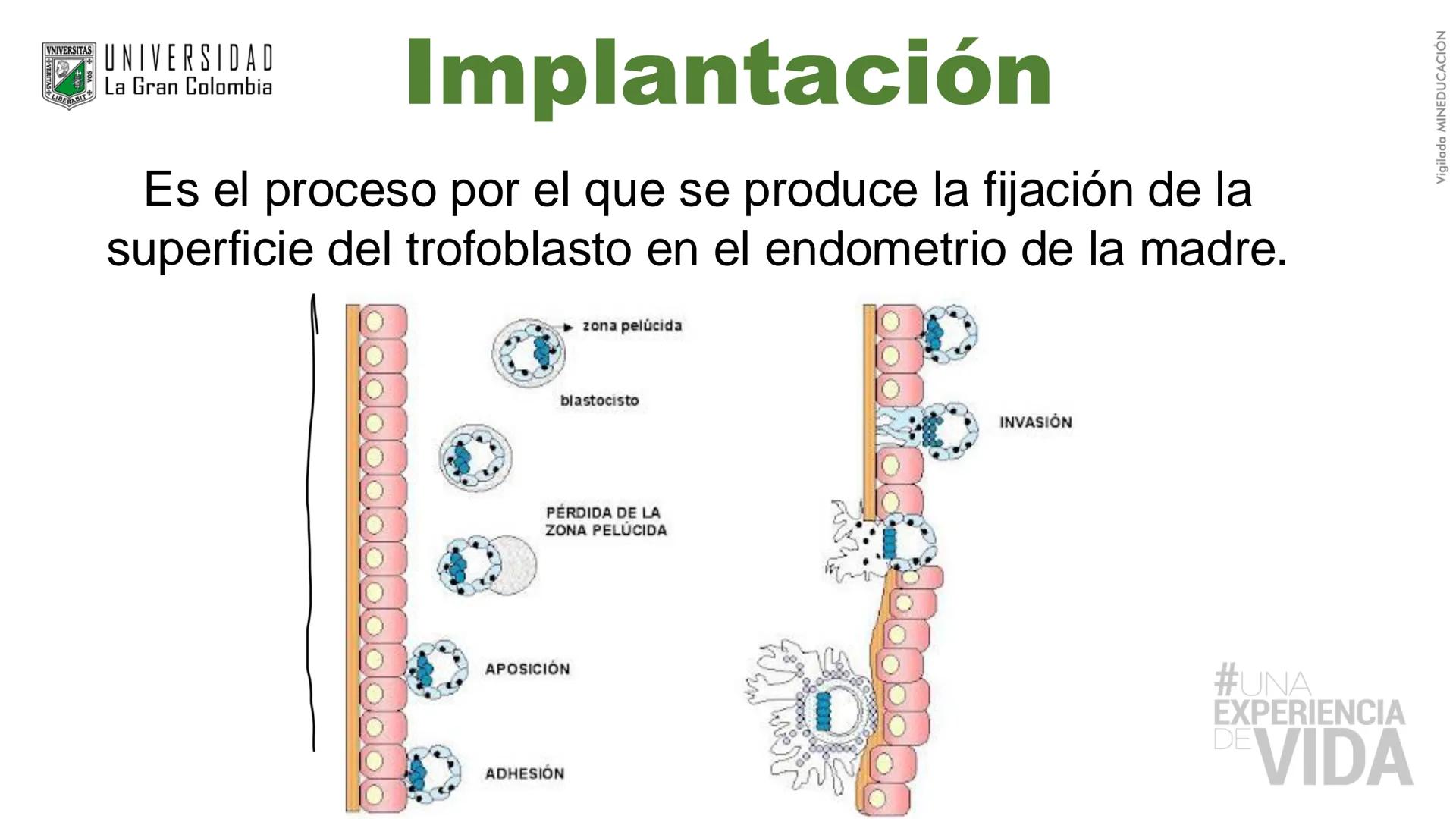 --- OCR Start ---
Aspiró el aire cálido, se detuvo en mitad de la aspiración,
se estiró y murió.
Leon Tolstói. La muerte de Iván Ilich. 1886