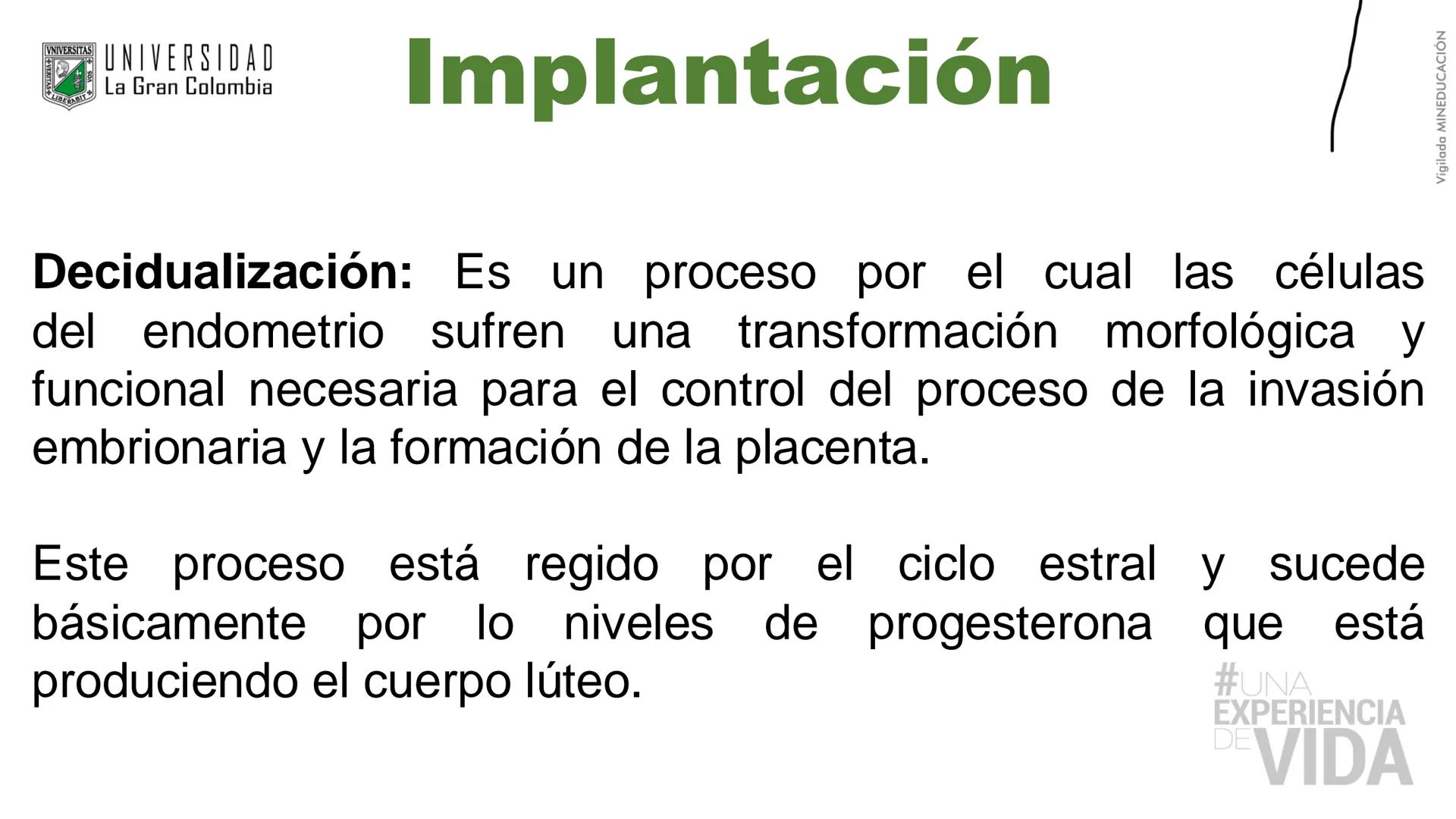 --- OCR Start ---
Aspiró el aire cálido, se detuvo en mitad de la aspiración,
se estiró y murió.
Leon Tolstói. La muerte de Iván Ilich. 1886