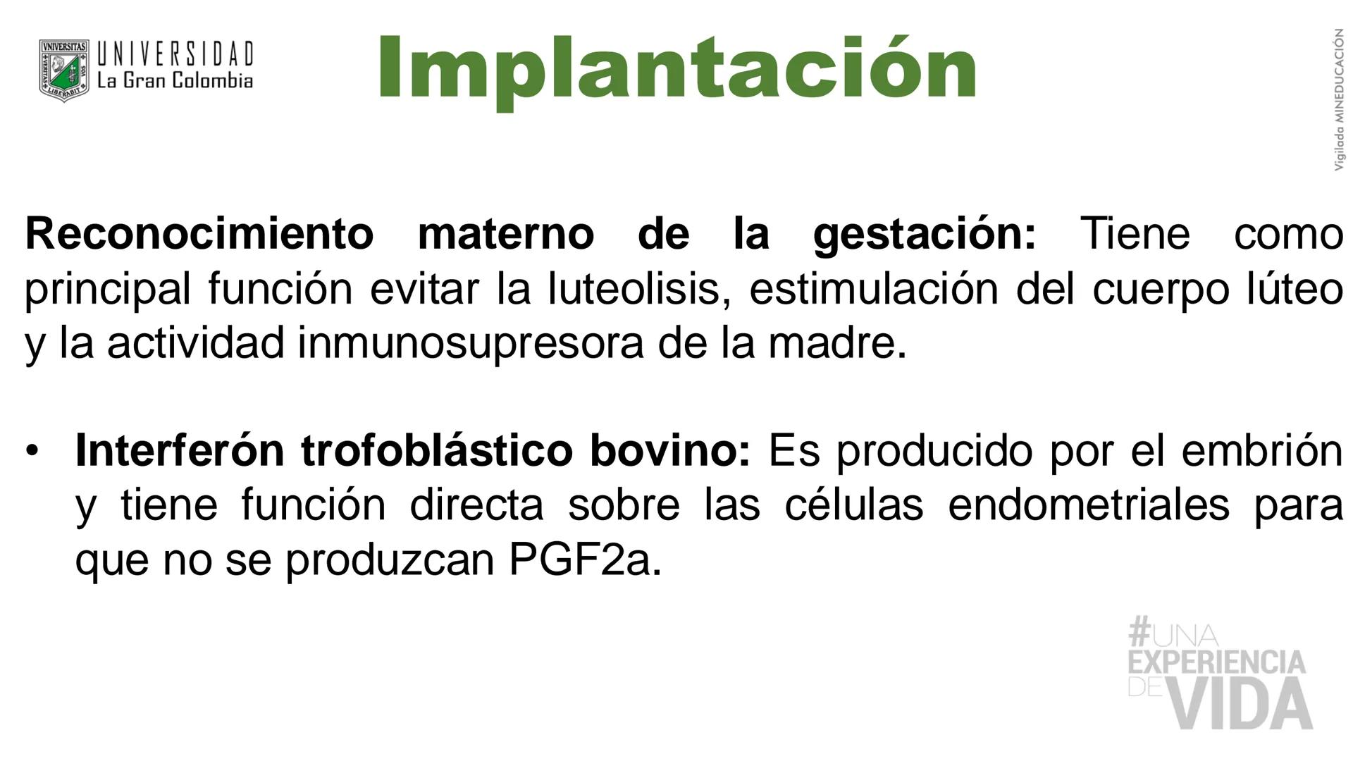 --- OCR Start ---
Aspiró el aire cálido, se detuvo en mitad de la aspiración,
se estiró y murió.
Leon Tolstói. La muerte de Iván Ilich. 1886