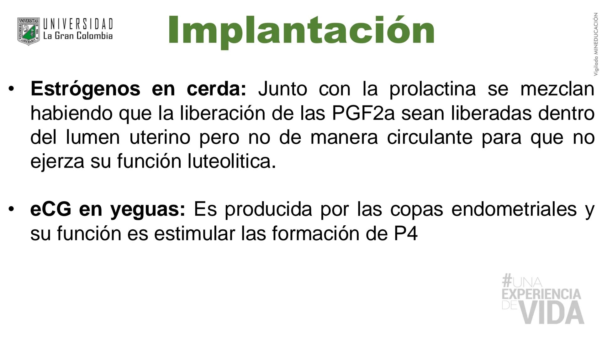 --- OCR Start ---
Aspiró el aire cálido, se detuvo en mitad de la aspiración,
se estiró y murió.
Leon Tolstói. La muerte de Iván Ilich. 1886