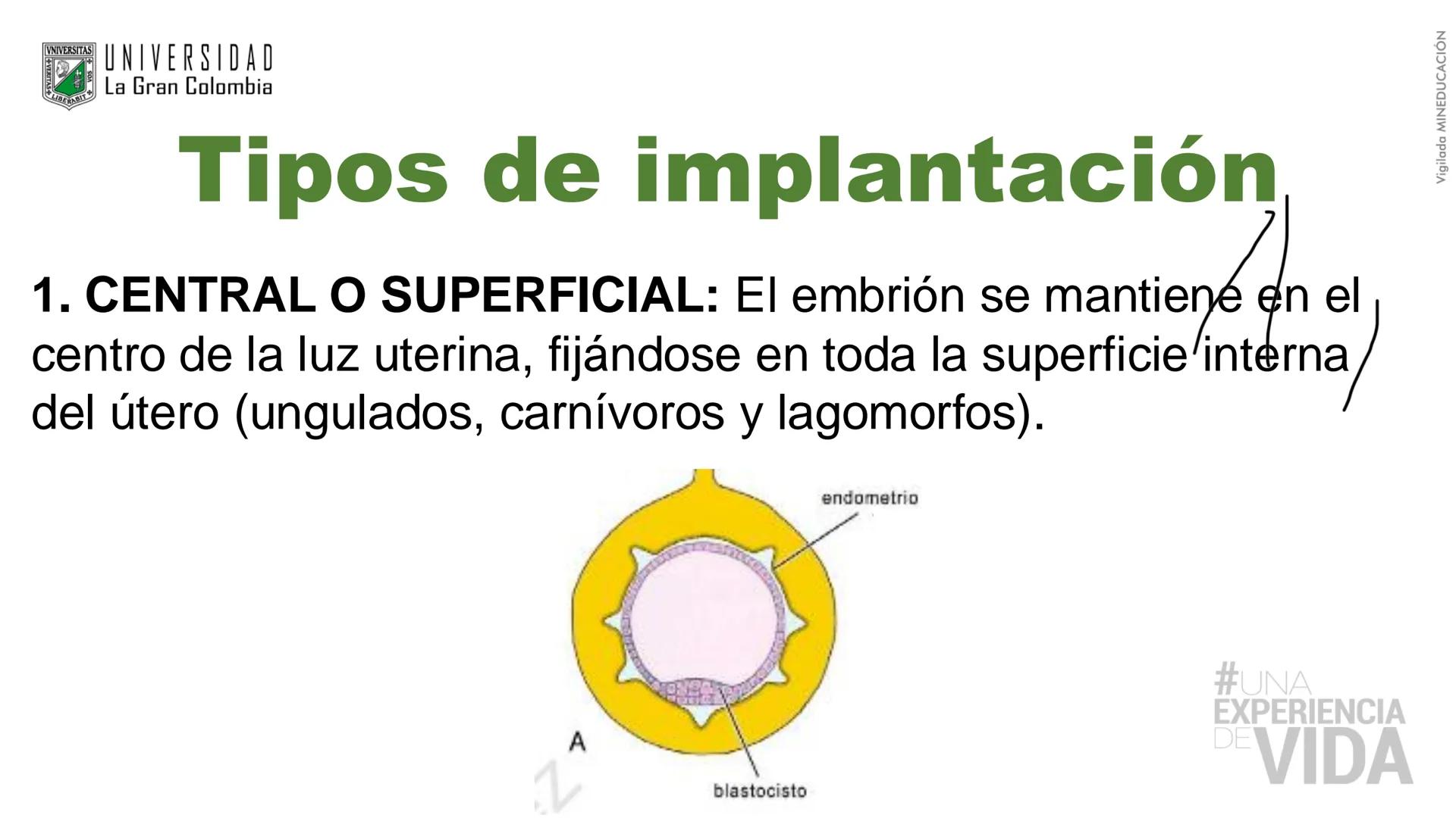 --- OCR Start ---
Aspiró el aire cálido, se detuvo en mitad de la aspiración,
se estiró y murió.
Leon Tolstói. La muerte de Iván Ilich. 1886