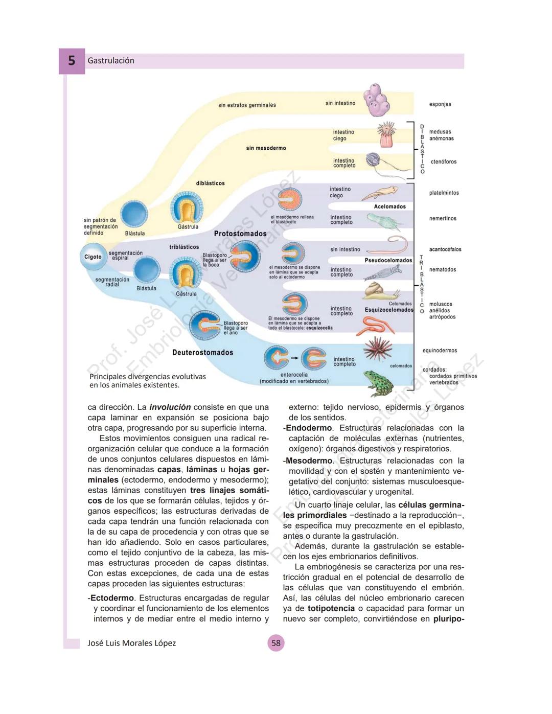 --- OCR Start ---
Aspiró el aire cálido, se detuvo en mitad de la aspiración,
se estiró y murió.
Leon Tolstói. La muerte de Iván Ilich. 1886