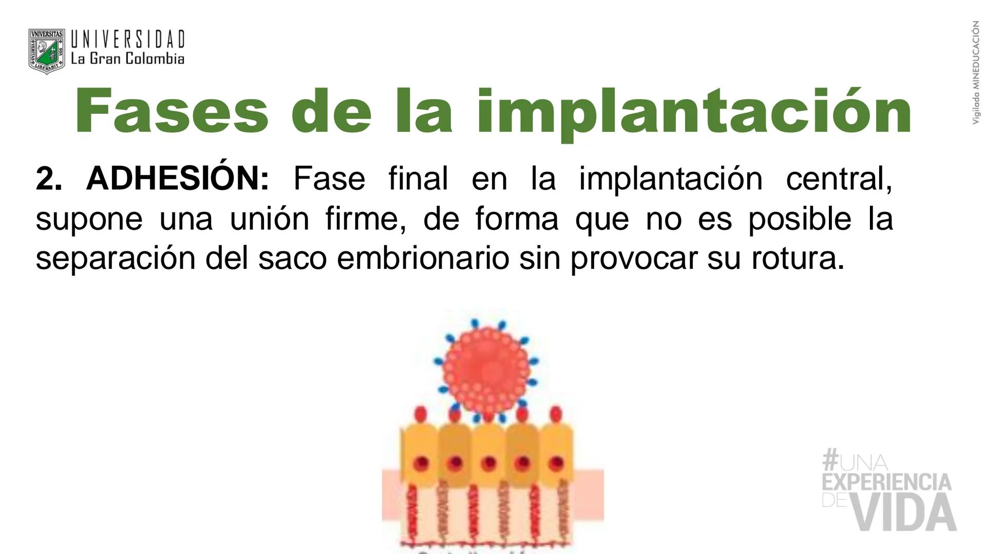 --- OCR Start ---
Aspiró el aire cálido, se detuvo en mitad de la aspiración,
se estiró y murió.
Leon Tolstói. La muerte de Iván Ilich. 1886