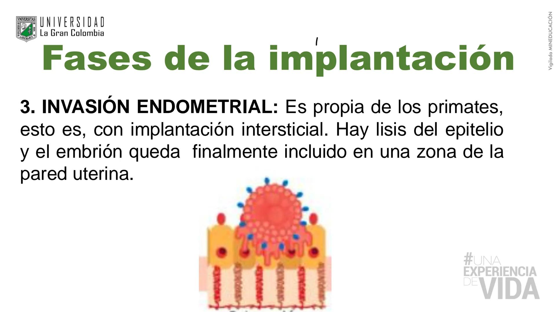 --- OCR Start ---
Aspiró el aire cálido, se detuvo en mitad de la aspiración,
se estiró y murió.
Leon Tolstói. La muerte de Iván Ilich. 1886