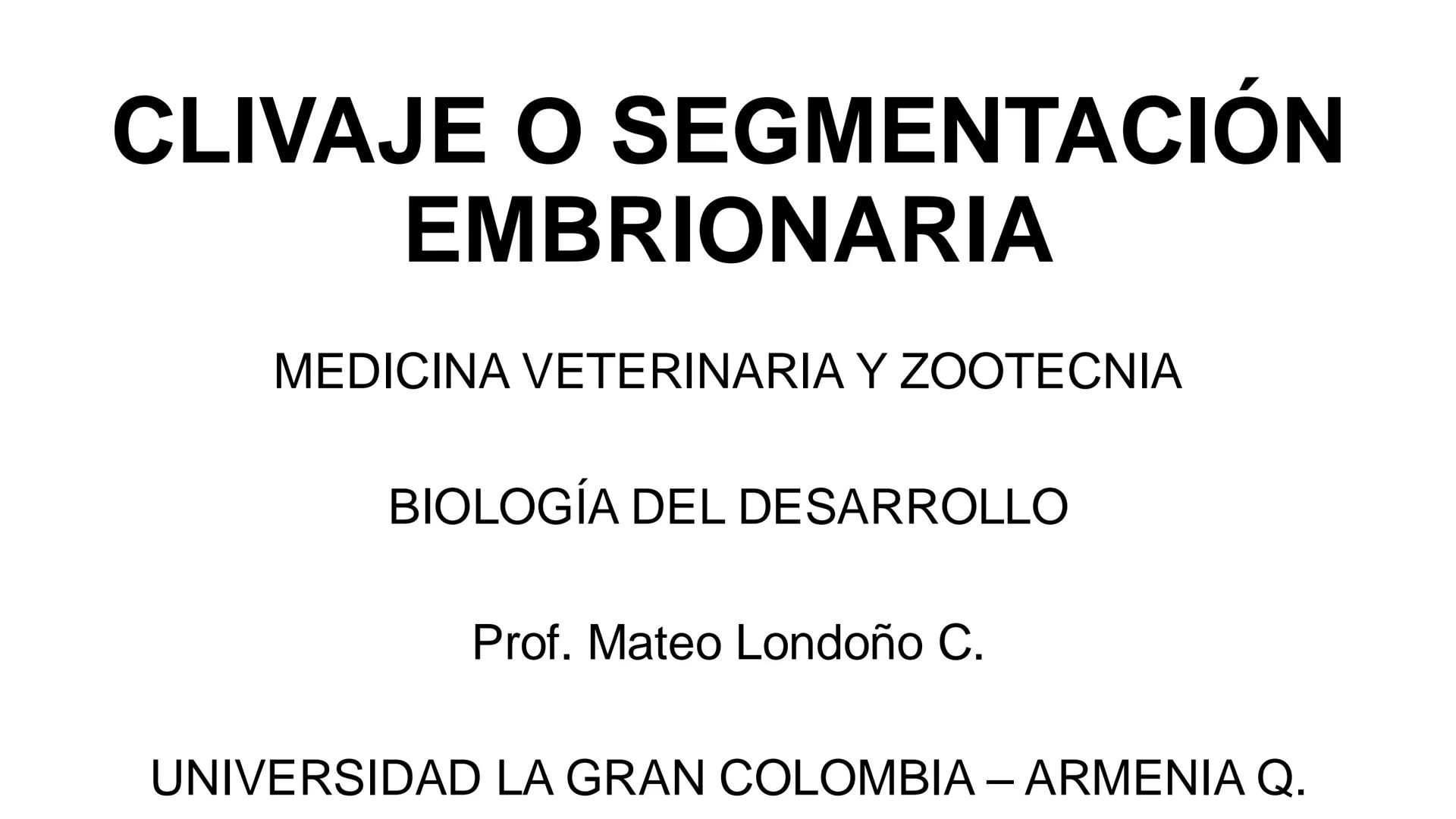 --- OCR Start ---
Aspiró el aire cálido, se detuvo en mitad de la aspiración,
se estiró y murió.
Leon Tolstói. La muerte de Iván Ilich. 1886