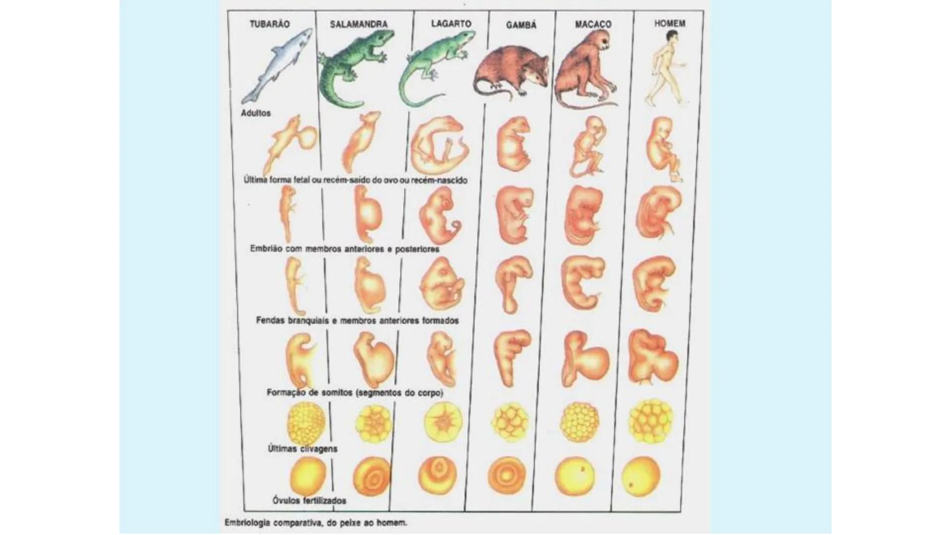 --- OCR Start ---
Aspiró el aire cálido, se detuvo en mitad de la aspiración,
se estiró y murió.
Leon Tolstói. La muerte de Iván Ilich. 1886