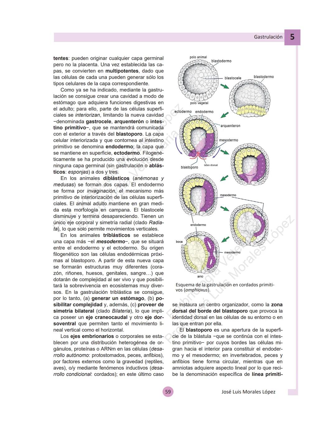 --- OCR Start ---
Aspiró el aire cálido, se detuvo en mitad de la aspiración,
se estiró y murió.
Leon Tolstói. La muerte de Iván Ilich. 1886