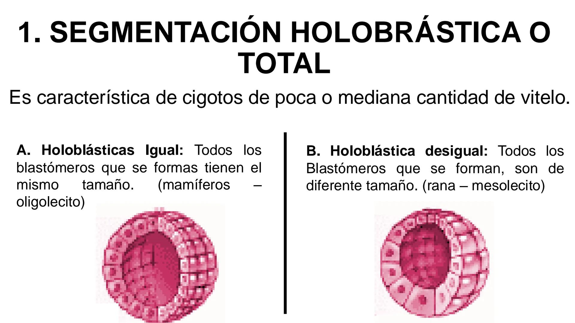 --- OCR Start ---
Aspiró el aire cálido, se detuvo en mitad de la aspiración,
se estiró y murió.
Leon Tolstói. La muerte de Iván Ilich. 1886