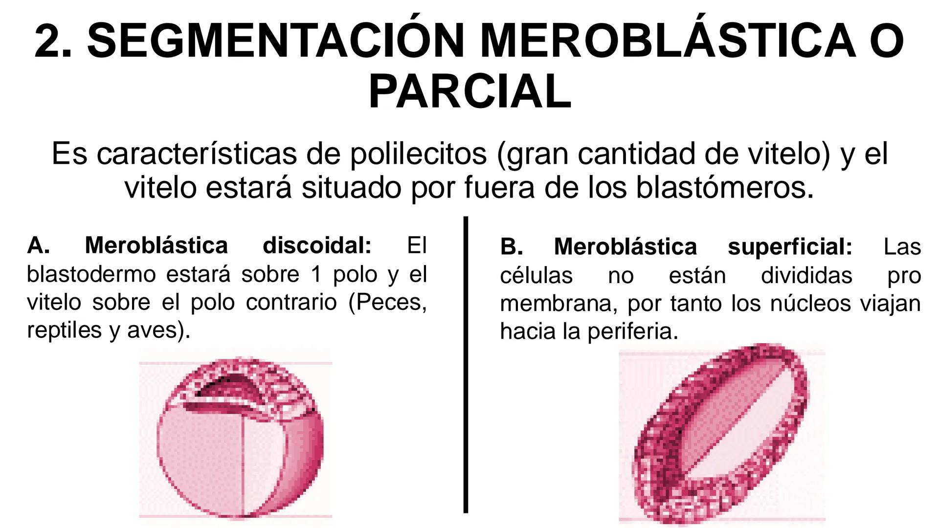 --- OCR Start ---
Aspiró el aire cálido, se detuvo en mitad de la aspiración,
se estiró y murió.
Leon Tolstói. La muerte de Iván Ilich. 1886