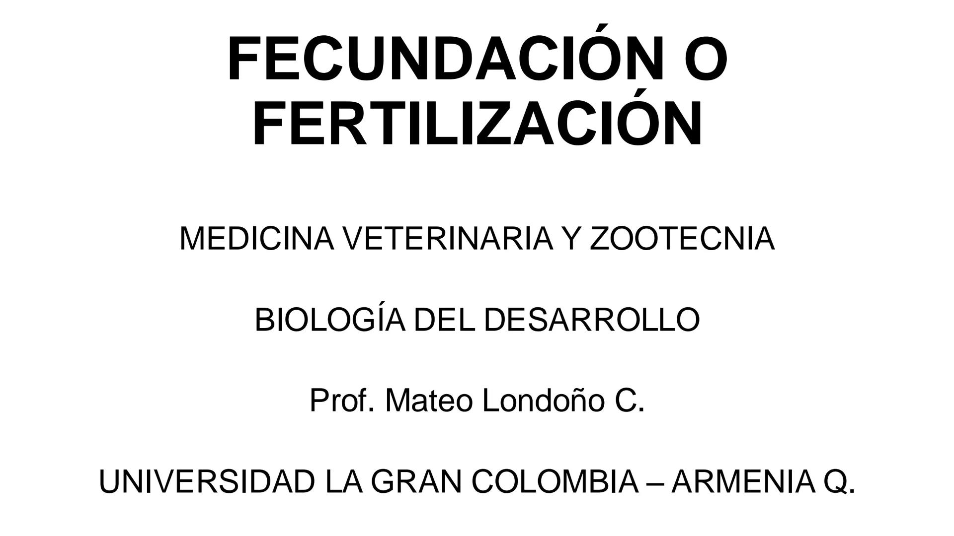--- OCR Start ---
Aspiró el aire cálido, se detuvo en mitad de la aspiración,
se estiró y murió.
Leon Tolstói. La muerte de Iván Ilich. 1886