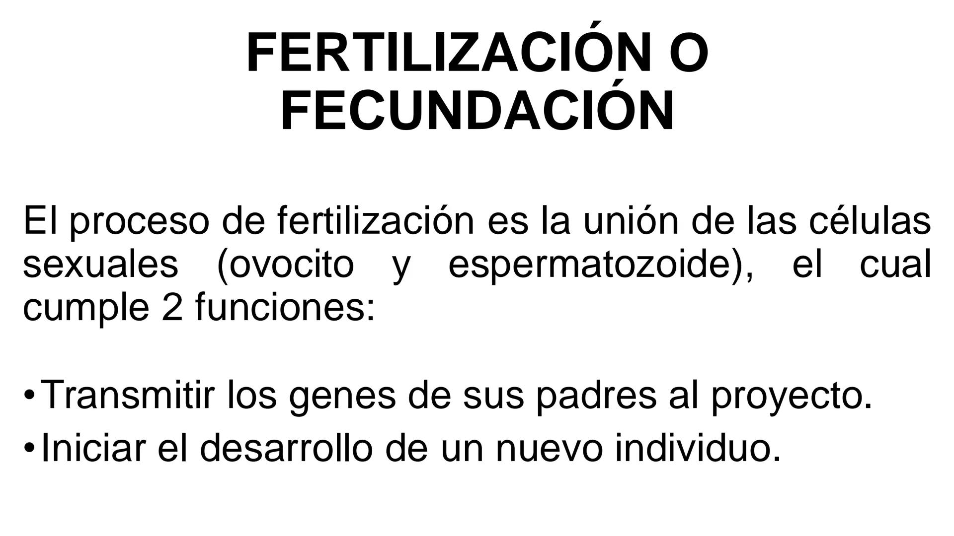 --- OCR Start ---
Aspiró el aire cálido, se detuvo en mitad de la aspiración,
se estiró y murió.
Leon Tolstói. La muerte de Iván Ilich. 1886