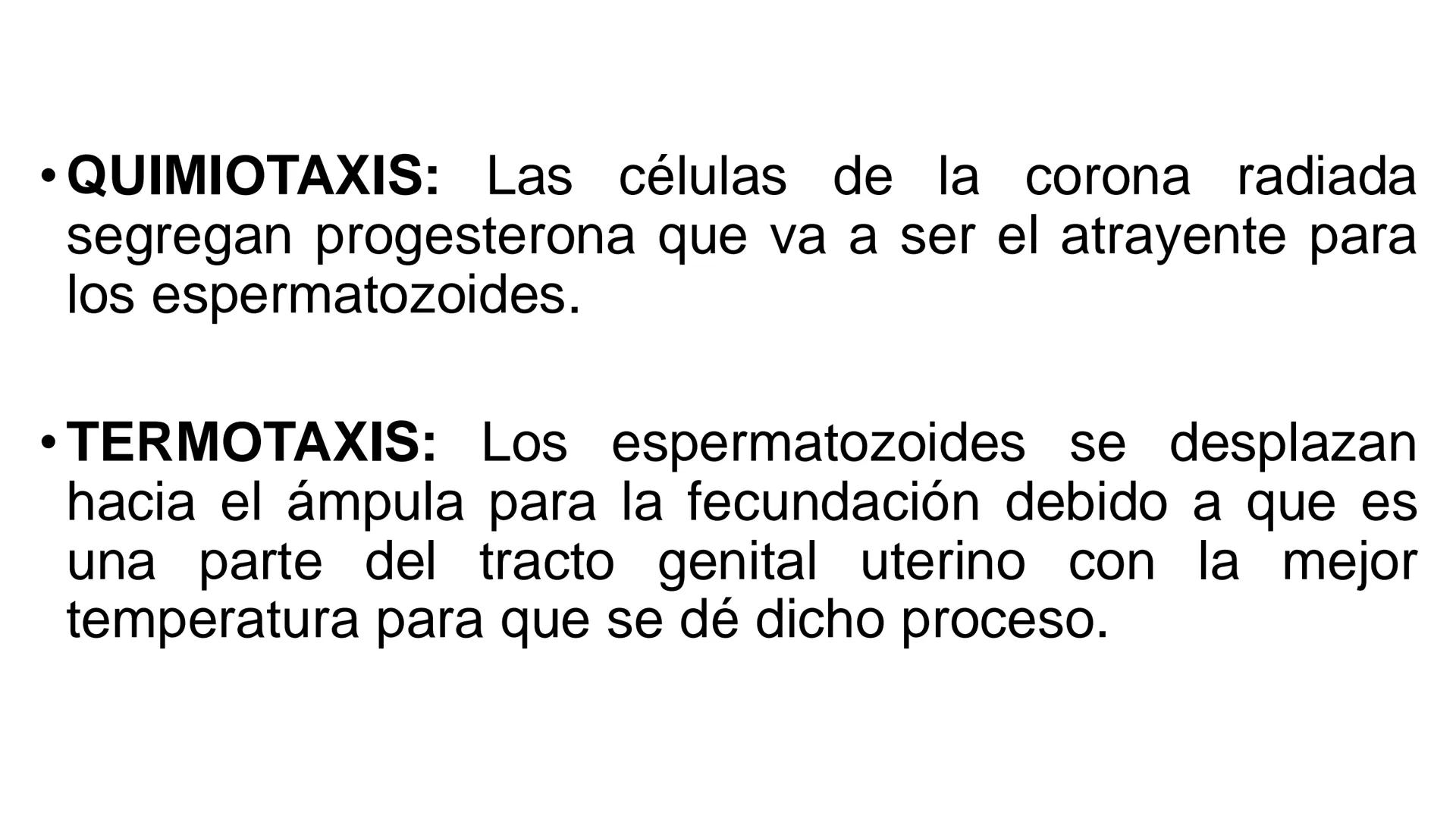 --- OCR Start ---
Aspiró el aire cálido, se detuvo en mitad de la aspiración,
se estiró y murió.
Leon Tolstói. La muerte de Iván Ilich. 1886