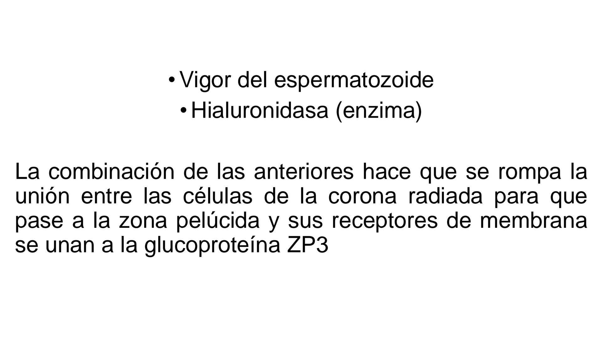 --- OCR Start ---
Aspiró el aire cálido, se detuvo en mitad de la aspiración,
se estiró y murió.
Leon Tolstói. La muerte de Iván Ilich. 1886