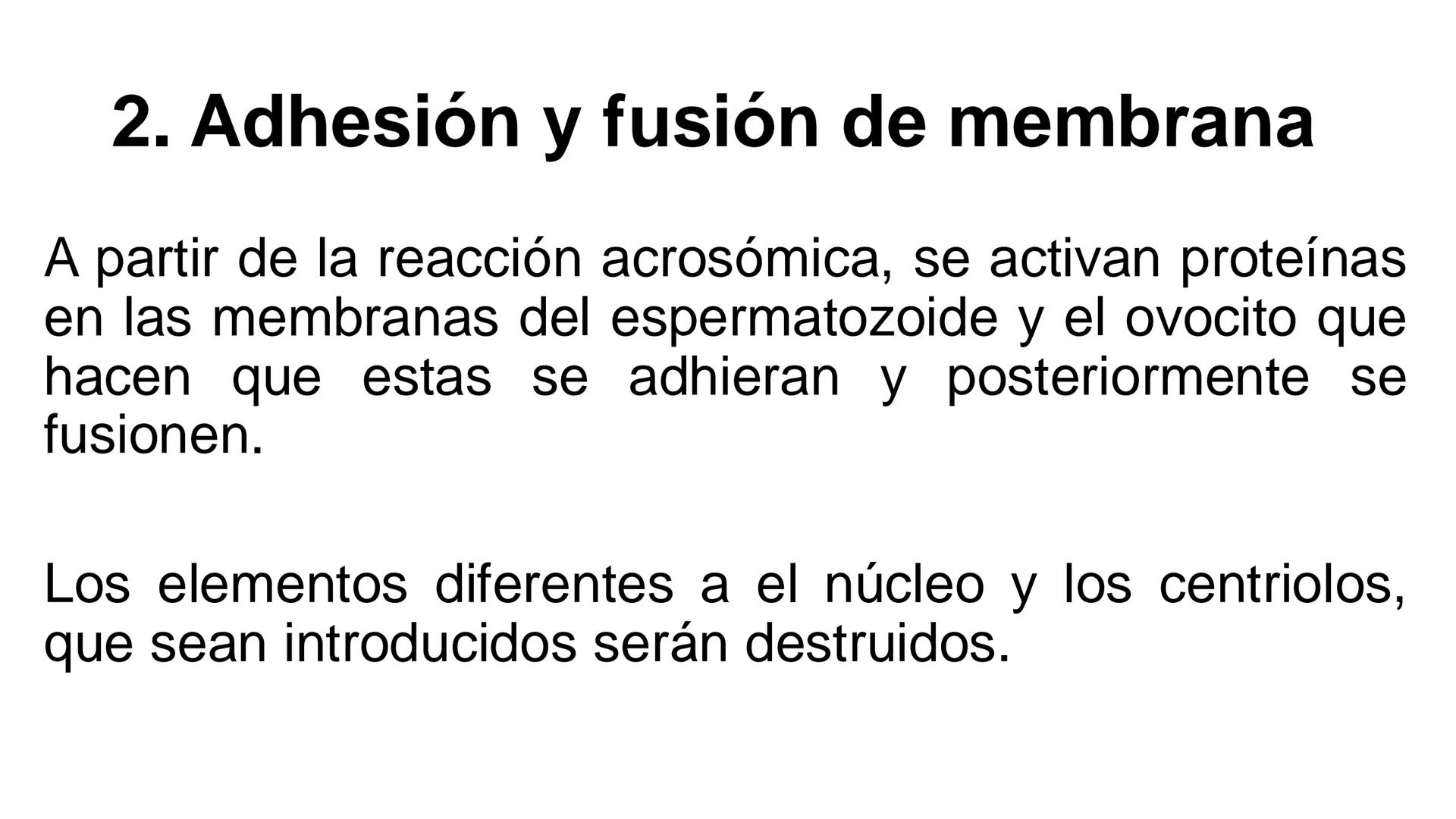 --- OCR Start ---
Aspiró el aire cálido, se detuvo en mitad de la aspiración,
se estiró y murió.
Leon Tolstói. La muerte de Iván Ilich. 1886