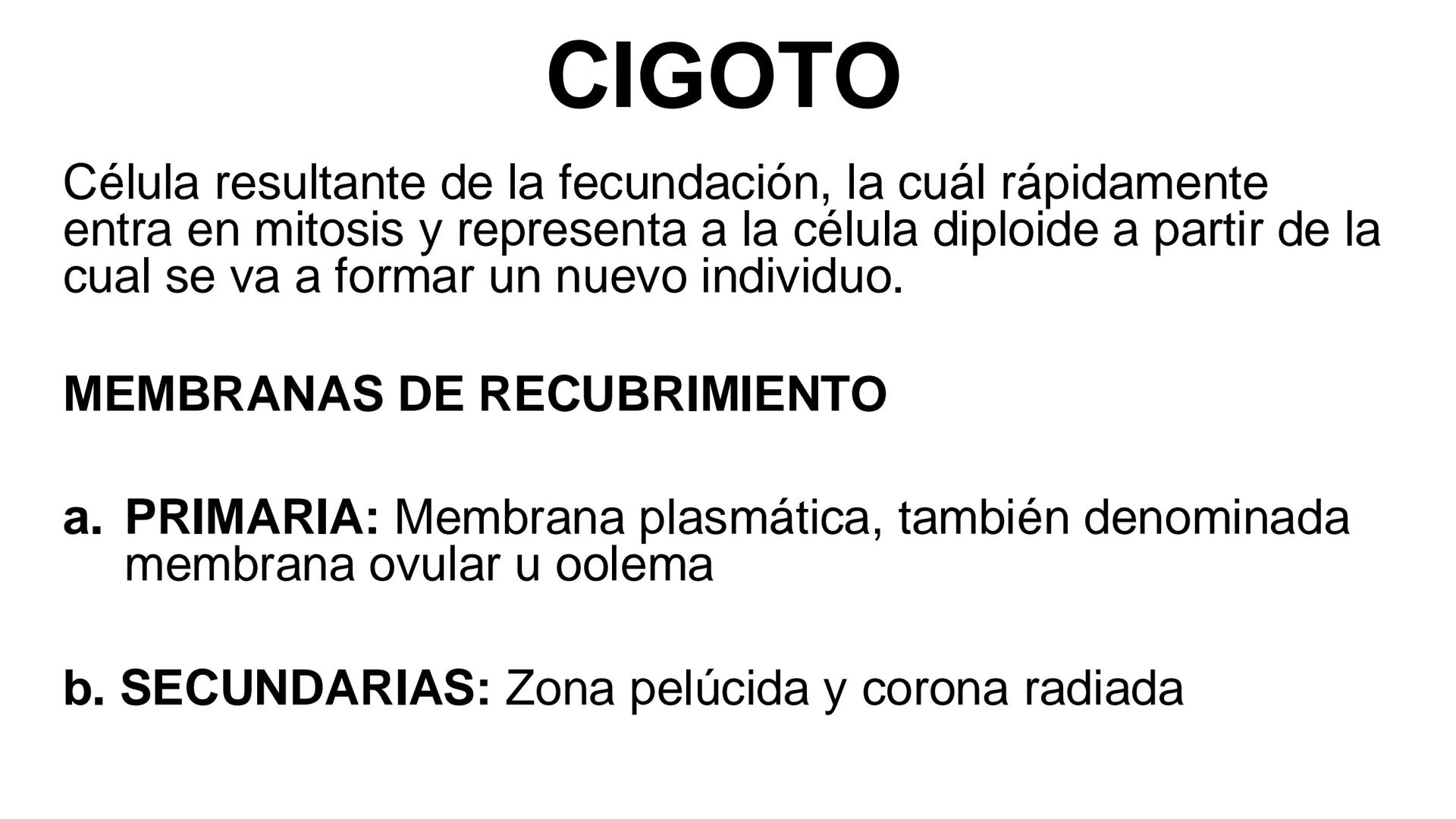 --- OCR Start ---
Aspiró el aire cálido, se detuvo en mitad de la aspiración,
se estiró y murió.
Leon Tolstói. La muerte de Iván Ilich. 1886