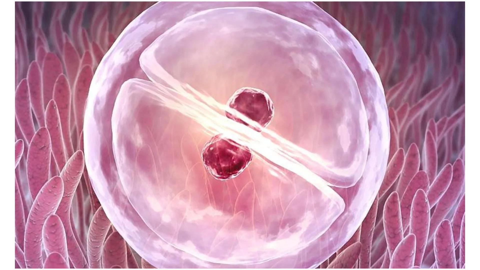 --- OCR Start ---
Aspiró el aire cálido, se detuvo en mitad de la aspiración,
se estiró y murió.
Leon Tolstói. La muerte de Iván Ilich. 1886