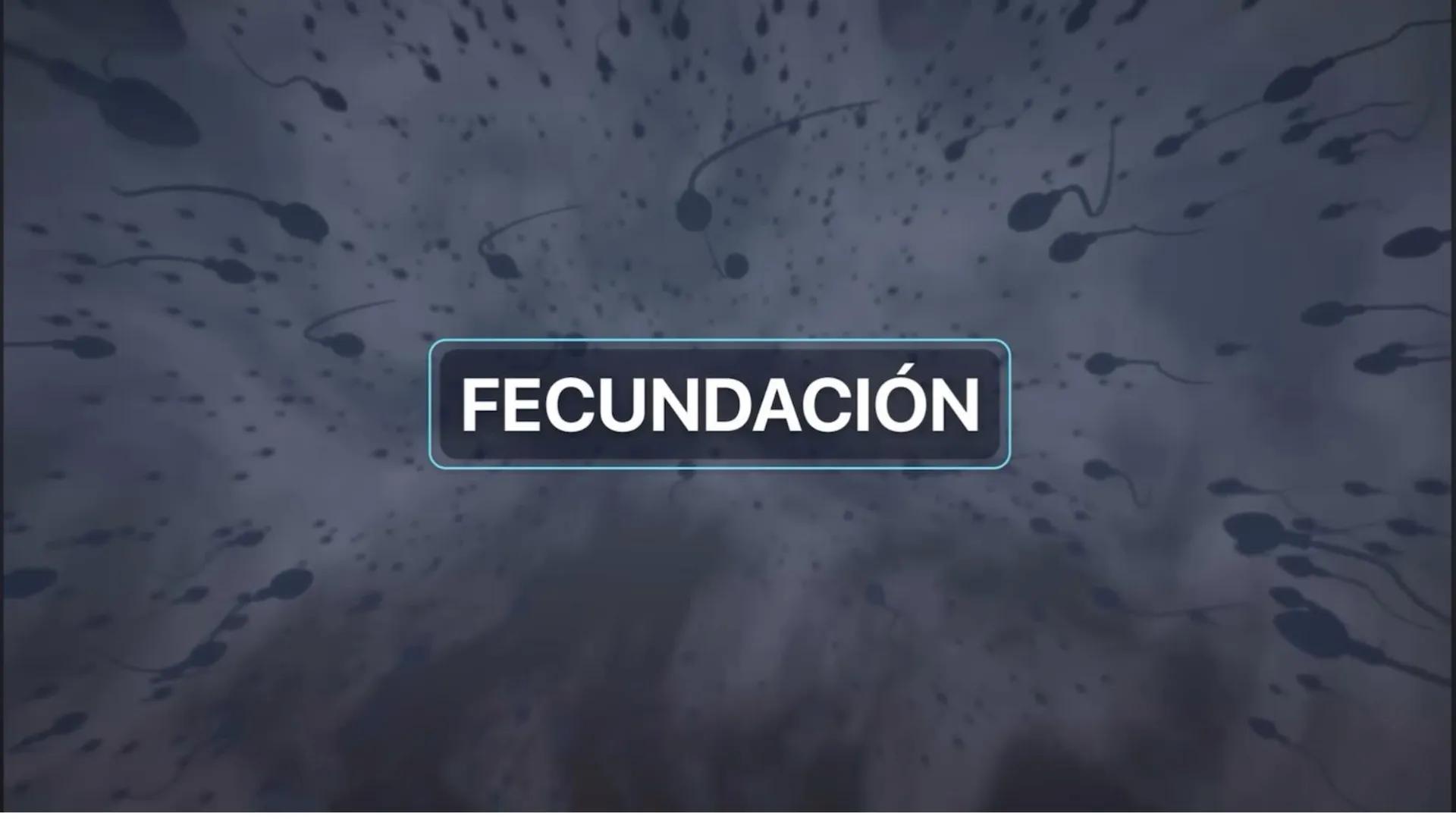--- OCR Start ---
Aspiró el aire cálido, se detuvo en mitad de la aspiración,
se estiró y murió.
Leon Tolstói. La muerte de Iván Ilich. 1886