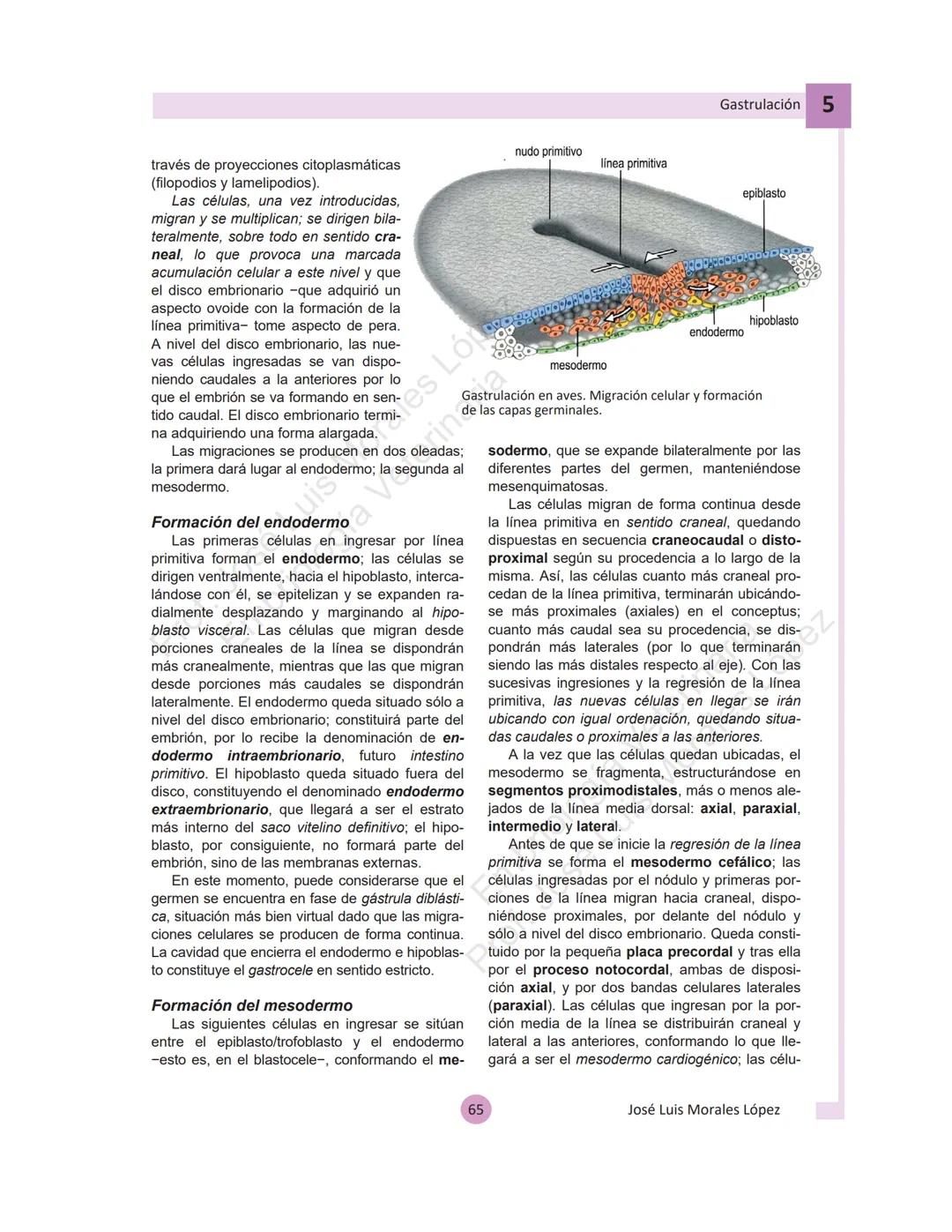 --- OCR Start ---
Aspiró el aire cálido, se detuvo en mitad de la aspiración,
se estiró y murió.
Leon Tolstói. La muerte de Iván Ilich. 1886
