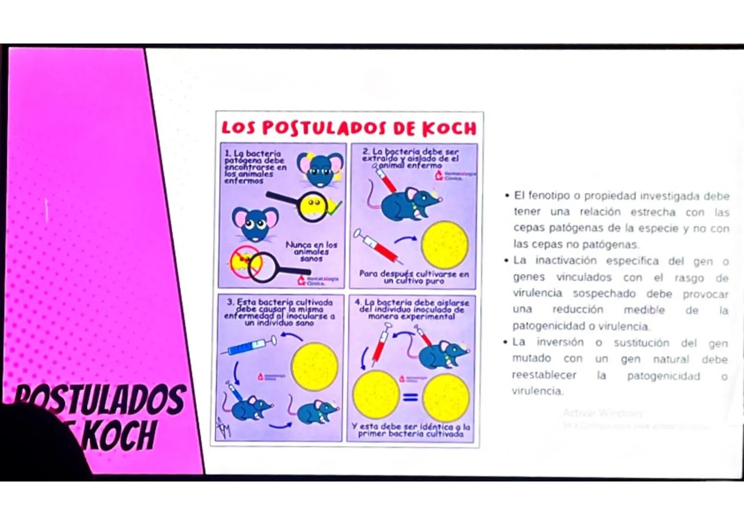 # CONCEPTOS BÁSICOS
# MICROBIOTA
Microorganismos que se localizan de
manera habitual en distintos sitios del
cuerpo humano, y que conviven