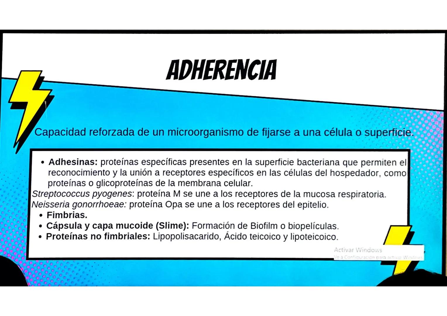 # CONCEPTOS BÁSICOS
# MICROBIOTA
Microorganismos que se localizan de
manera habitual en distintos sitios del
cuerpo humano, y que conviven