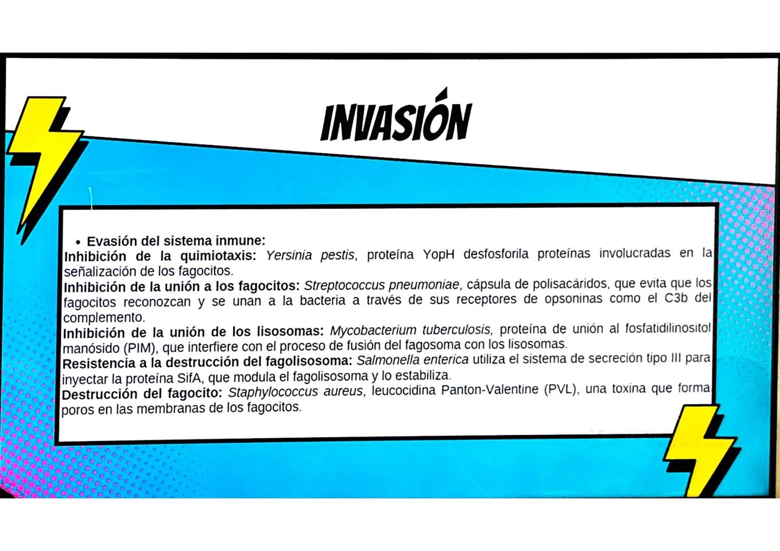 # CONCEPTOS BÁSICOS
# MICROBIOTA
Microorganismos que se localizan de
manera habitual en distintos sitios del
cuerpo humano, y que conviven