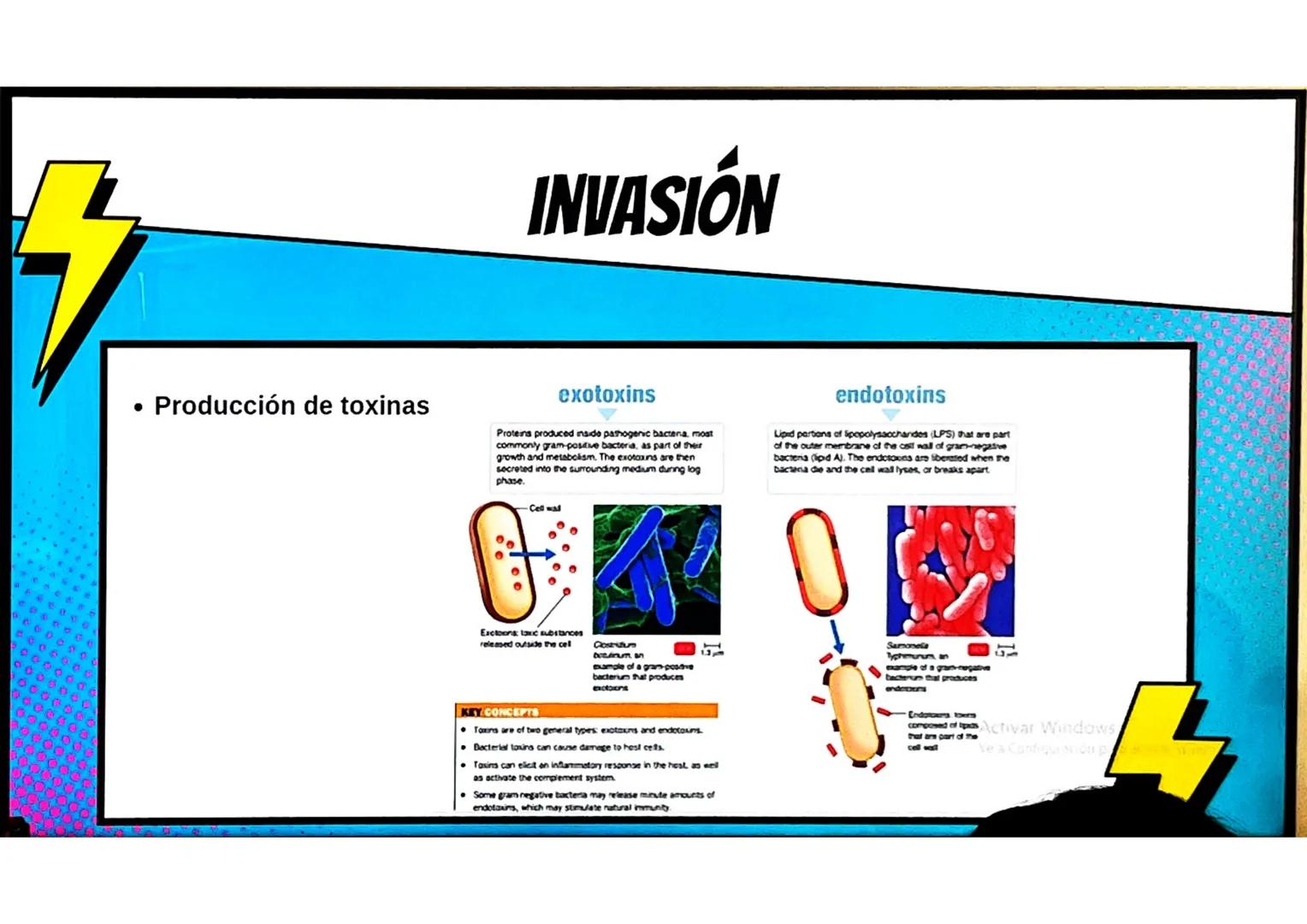 # CONCEPTOS BÁSICOS
# MICROBIOTA
Microorganismos que se localizan de
manera habitual en distintos sitios del
cuerpo humano, y que conviven
