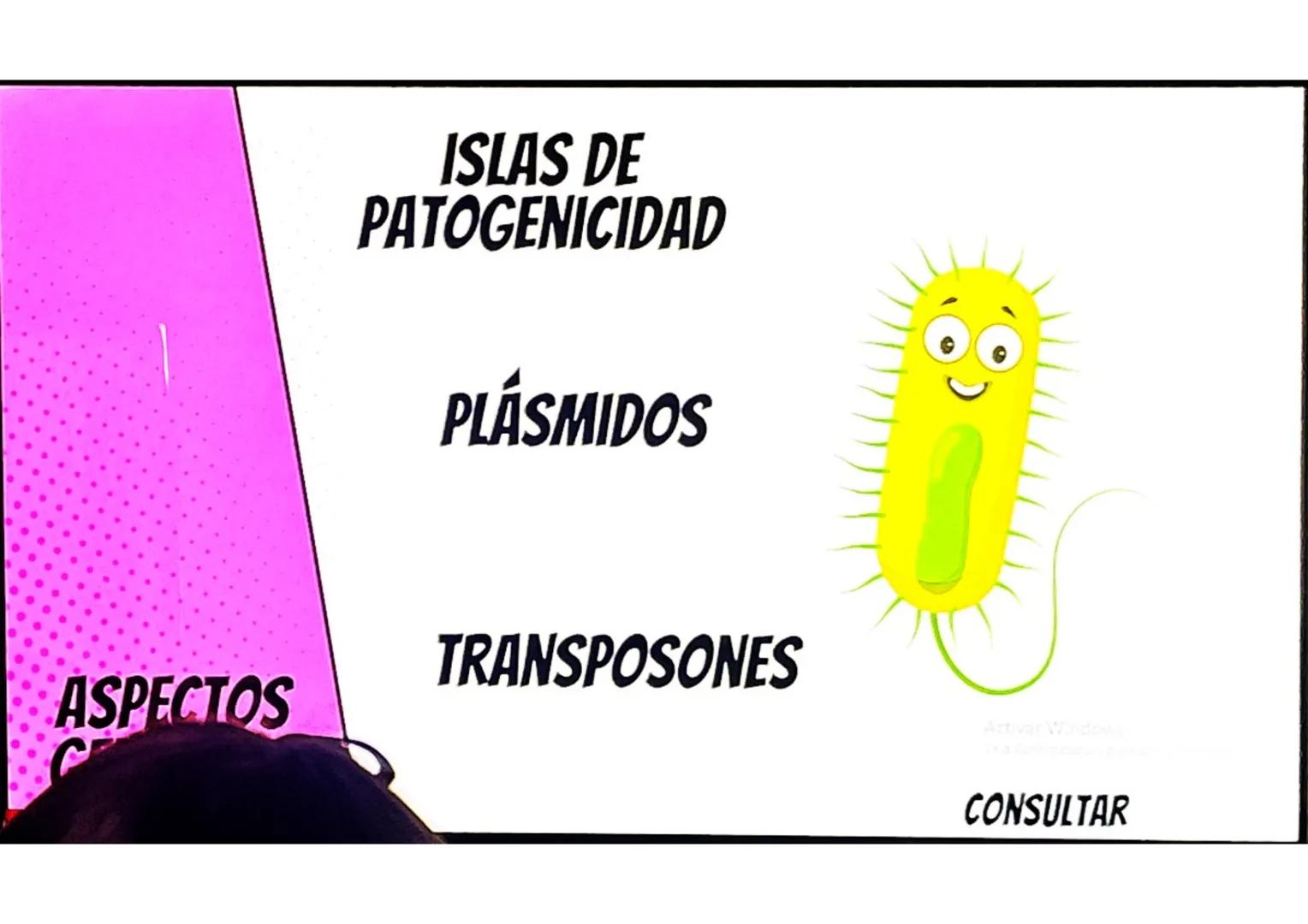 # CONCEPTOS BÁSICOS
# MICROBIOTA
Microorganismos que se localizan de
manera habitual en distintos sitios del
cuerpo humano, y que conviven