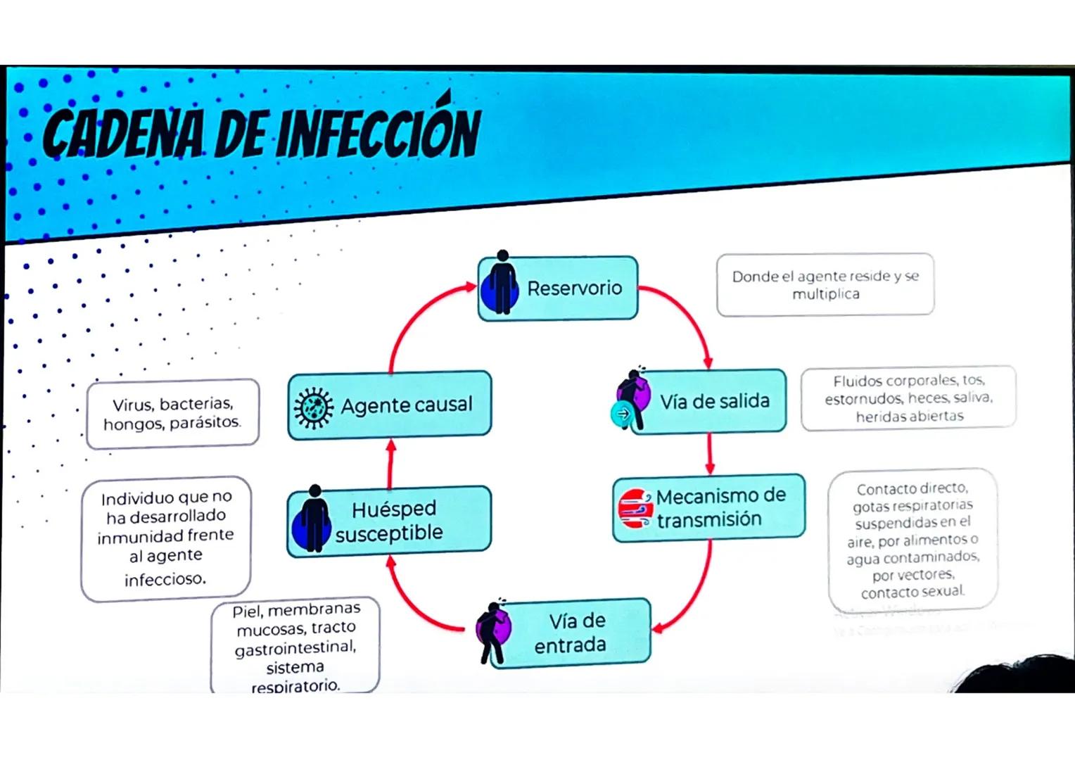 # CONCEPTOS BÁSICOS
# MICROBIOTA
Microorganismos que se localizan de
manera habitual en distintos sitios del
cuerpo humano, y que conviven