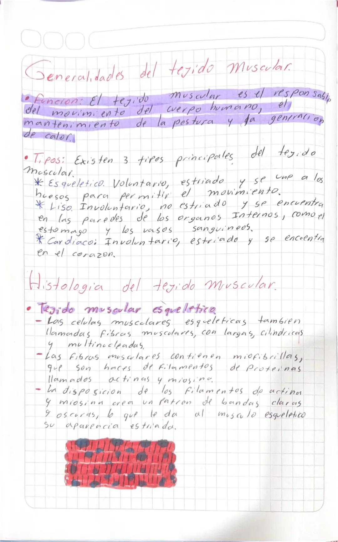 # Generalidades del tejido Muscular.
* Función: El tejido muscular es el responsable
del movimiento del cuerpo humano, el
mantenimiento de