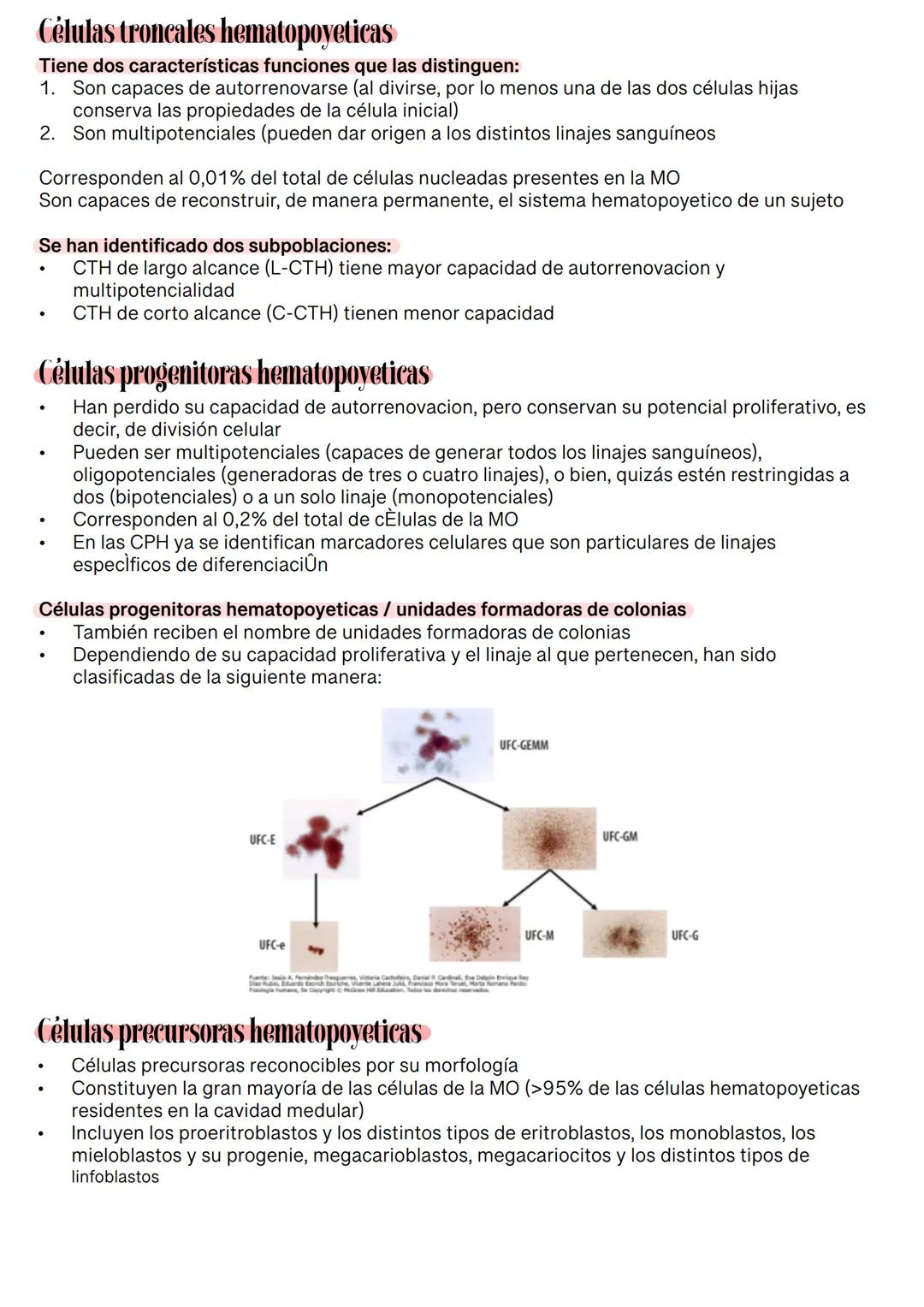 Fisiología de la Sangre
La sangre es un tejido que fluye por todo el sistema. El plasma está constituido en un 92% de
agua lo cual hace que