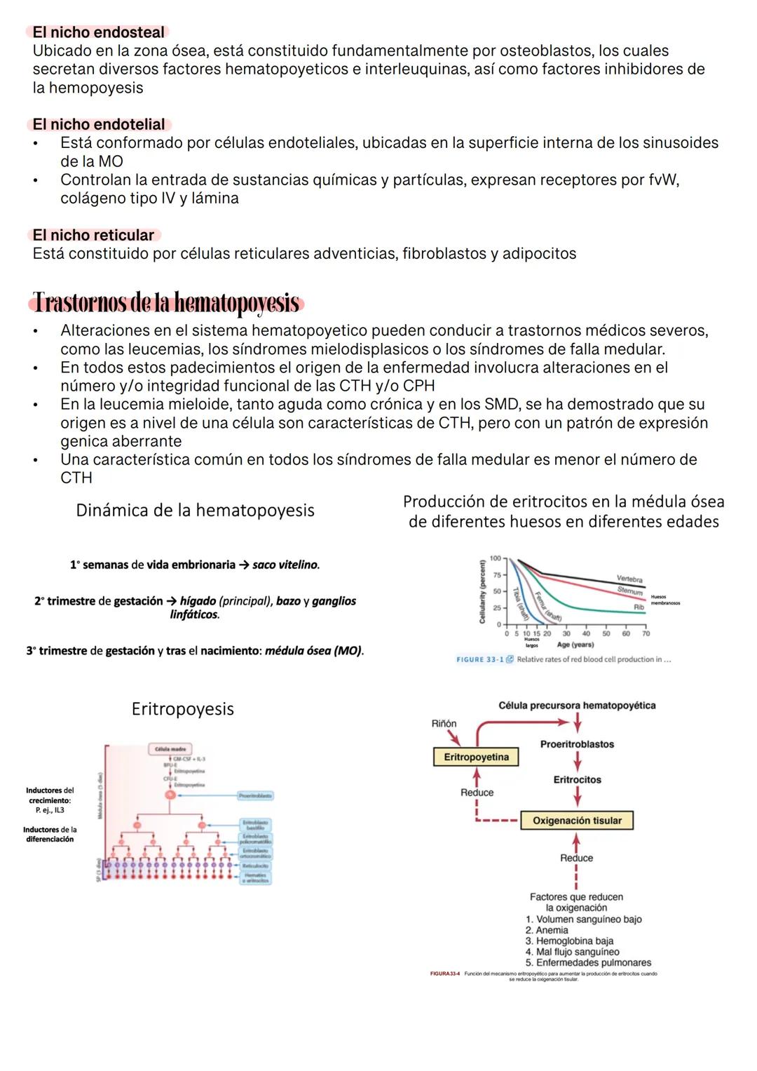 Fisiología de la Sangre
La sangre es un tejido que fluye por todo el sistema. El plasma está constituido en un 92% de
agua lo cual hace que