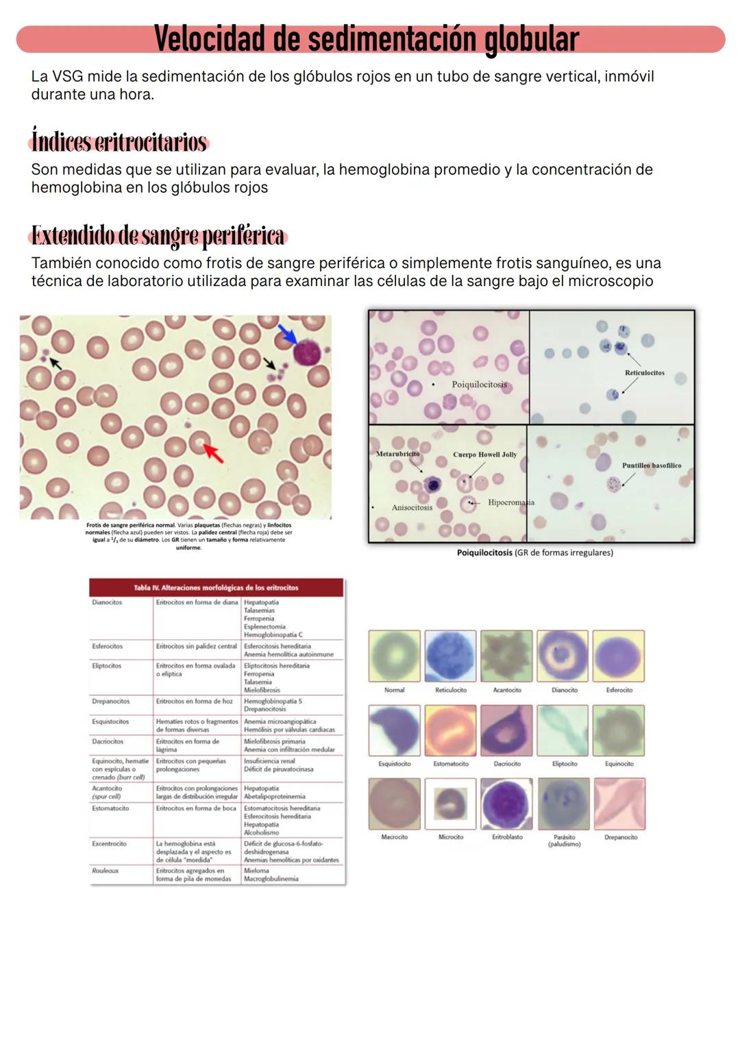 Fisiología de la Sangre
La sangre es un tejido que fluye por todo el sistema. El plasma está constituido en un 92% de
agua lo cual hace que