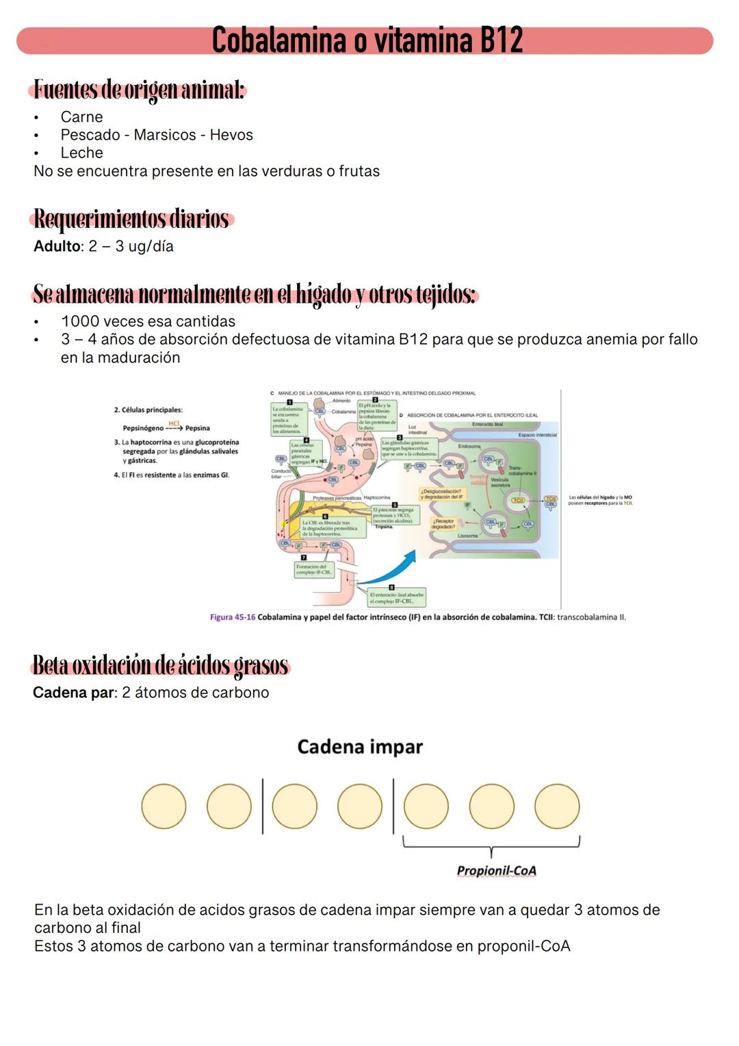 Fisiología de la Sangre
La sangre es un tejido que fluye por todo el sistema. El plasma está constituido en un 92% de
agua lo cual hace que