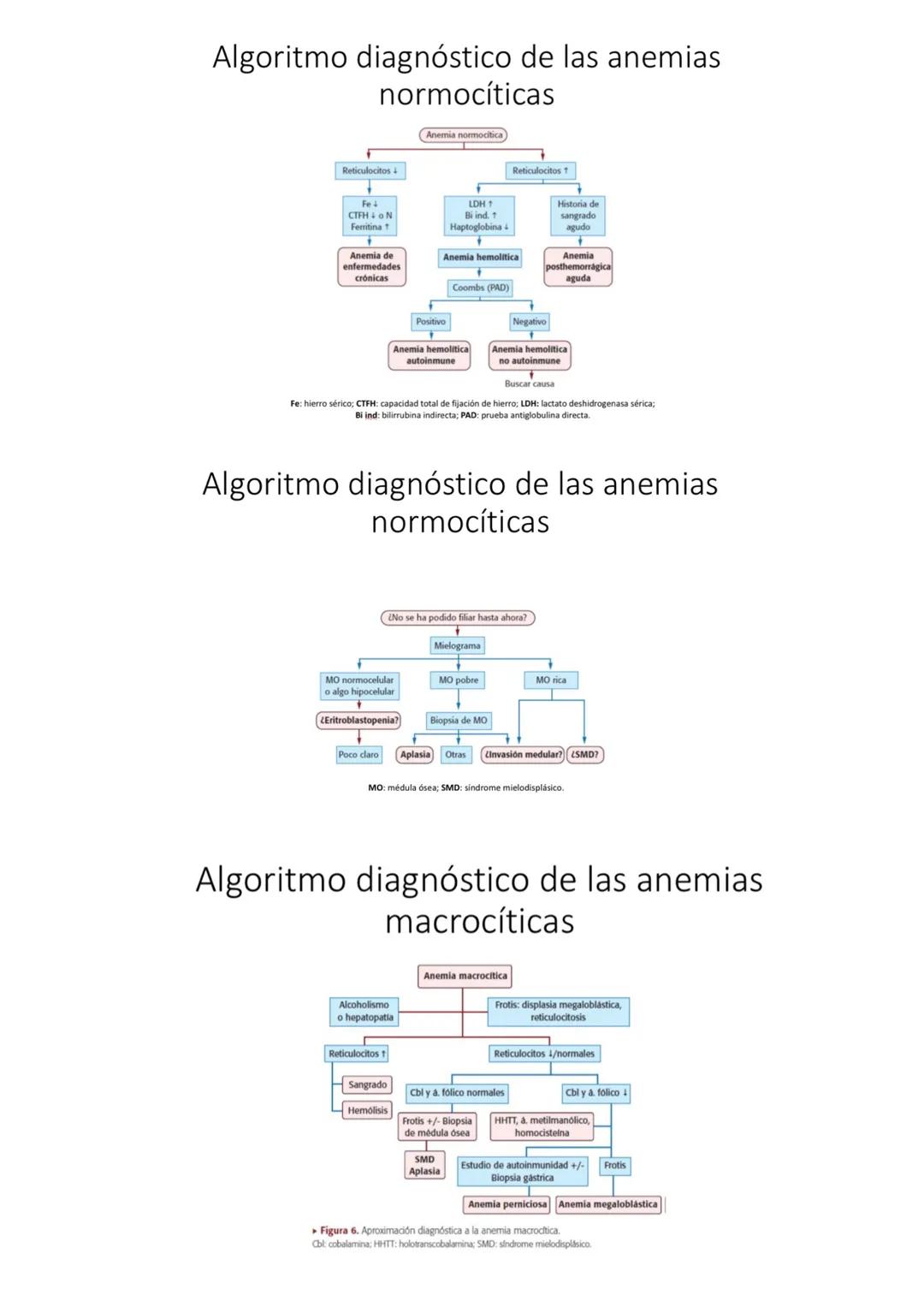 Fisiología de la Sangre
La sangre es un tejido que fluye por todo el sistema. El plasma está constituido en un 92% de
agua lo cual hace que