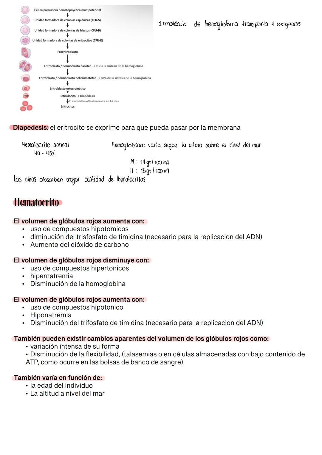 Fisiología de la Sangre
La sangre es un tejido que fluye por todo el sistema. El plasma está constituido en un 92% de
agua lo cual hace que