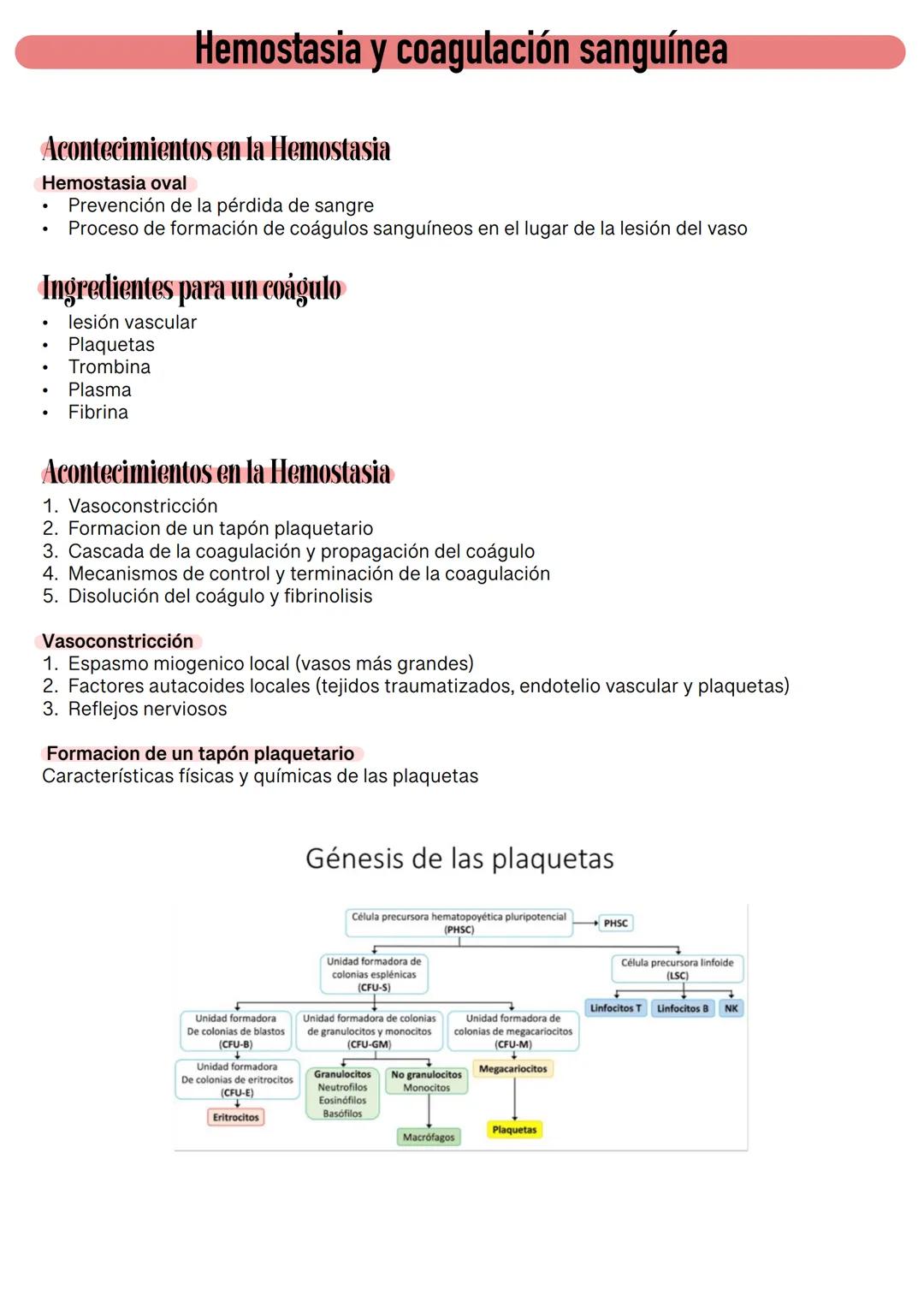 Fisiología de la Sangre
La sangre es un tejido que fluye por todo el sistema. El plasma está constituido en un 92% de
agua lo cual hace que