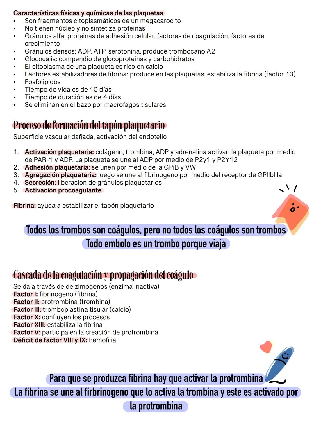 Fisiología de la Sangre
La sangre es un tejido que fluye por todo el sistema. El plasma está constituido en un 92% de
agua lo cual hace que