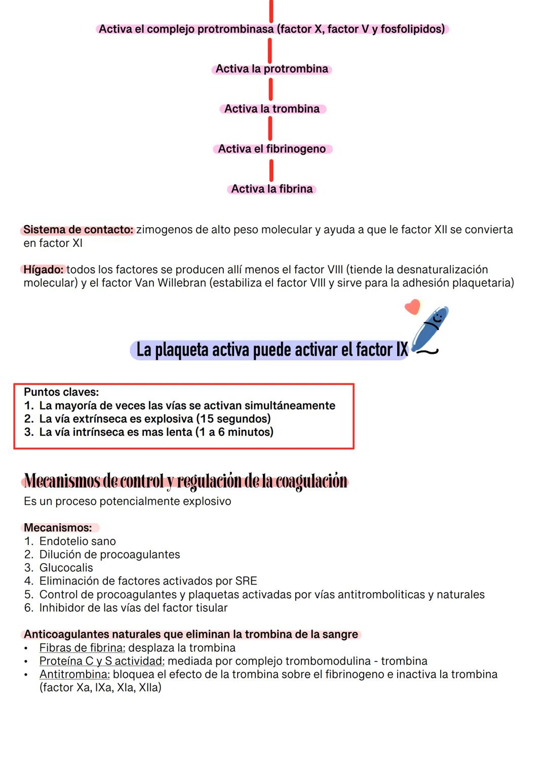 Fisiología de la Sangre
La sangre es un tejido que fluye por todo el sistema. El plasma está constituido en un 92% de
agua lo cual hace que