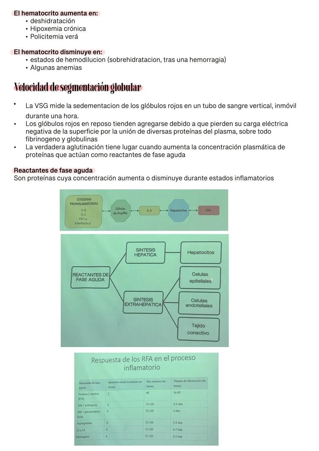 Fisiología de la Sangre
La sangre es un tejido que fluye por todo el sistema. El plasma está constituido en un 92% de
agua lo cual hace que