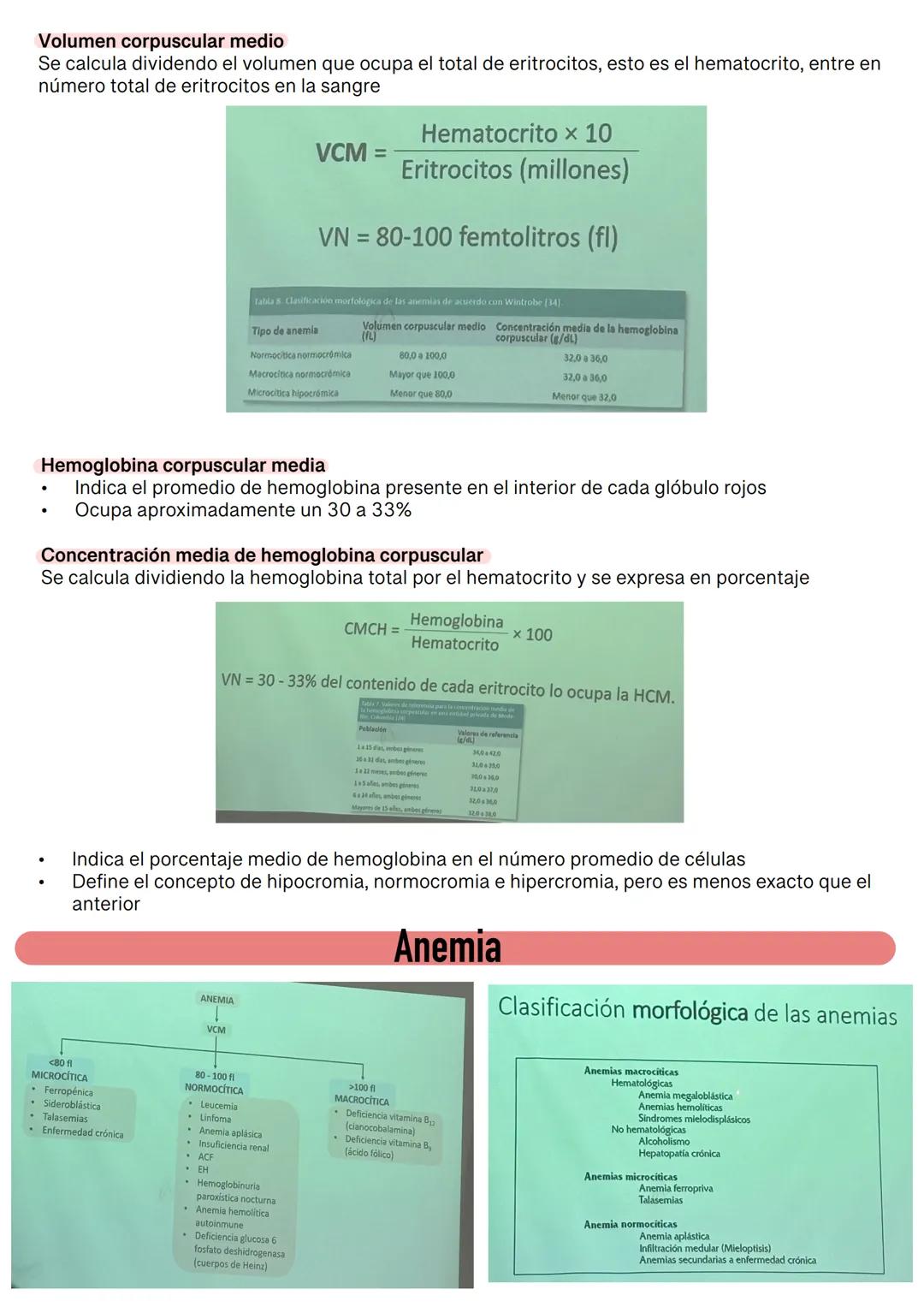 Fisiología de la Sangre
La sangre es un tejido que fluye por todo el sistema. El plasma está constituido en un 92% de
agua lo cual hace que