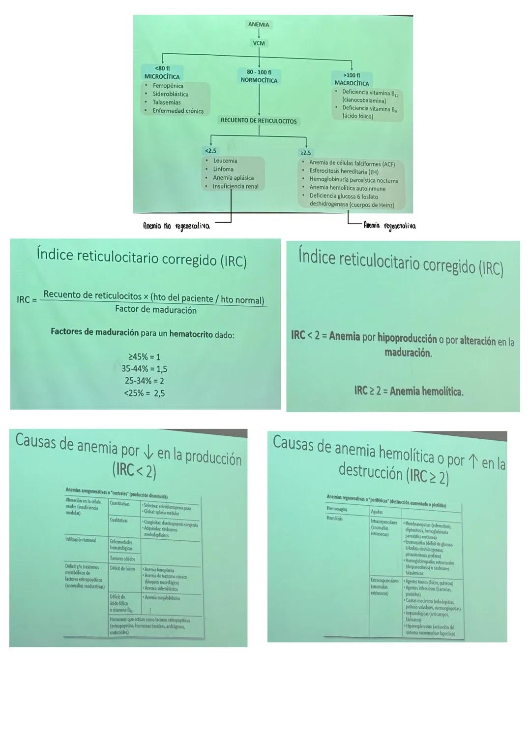 Fisiología de la Sangre
La sangre es un tejido que fluye por todo el sistema. El plasma está constituido en un 92% de
agua lo cual hace que