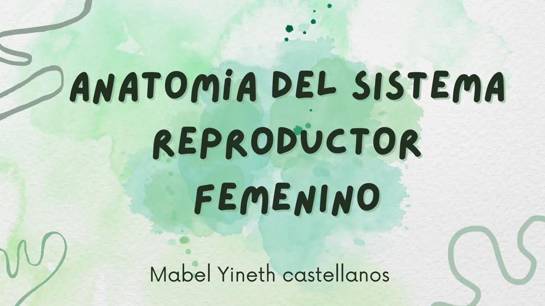 Reproduccion en las mujeres
