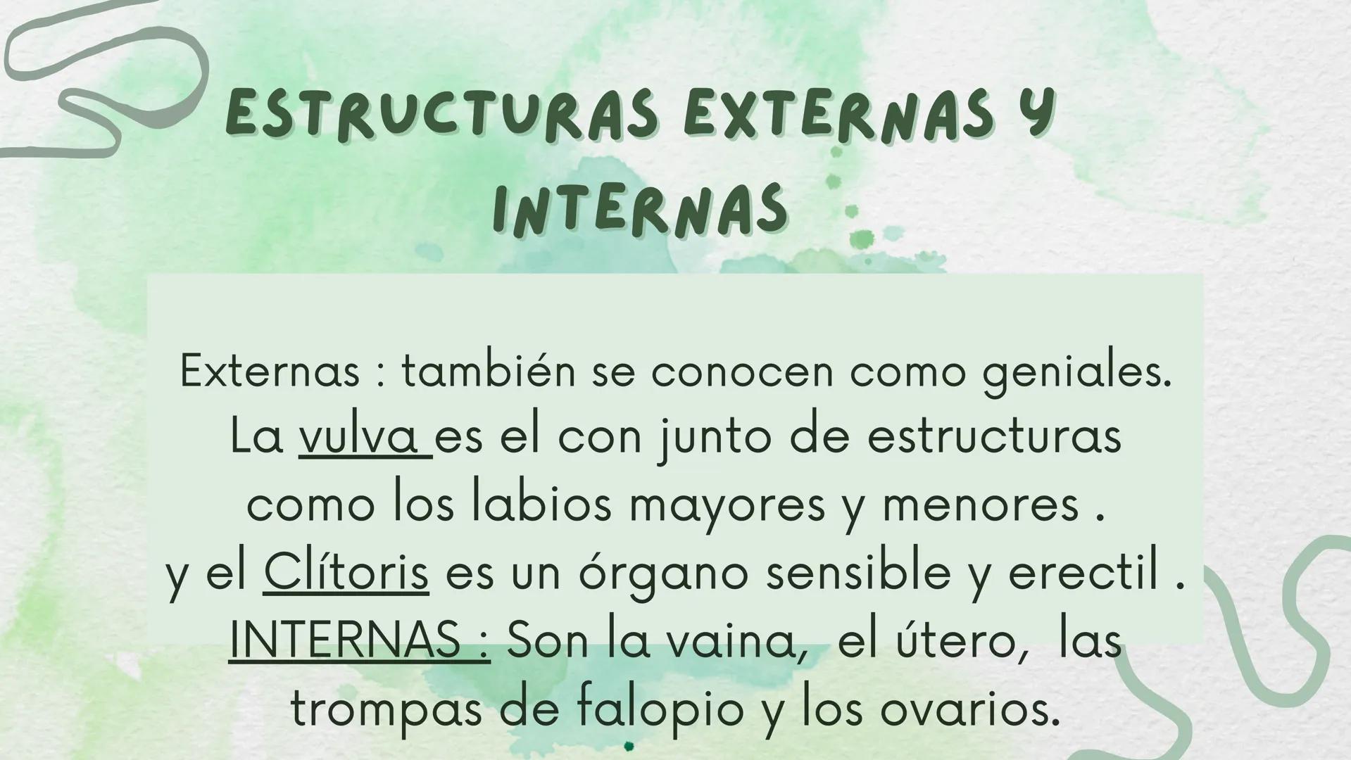 # ANATOMÍA DEL SISTEMA
# REPRODUCTOR
# FEMENINO
Mabel Yineth castellanos # INTRODUCCIÓN:
Esta conformado por estructuras y órganos estas