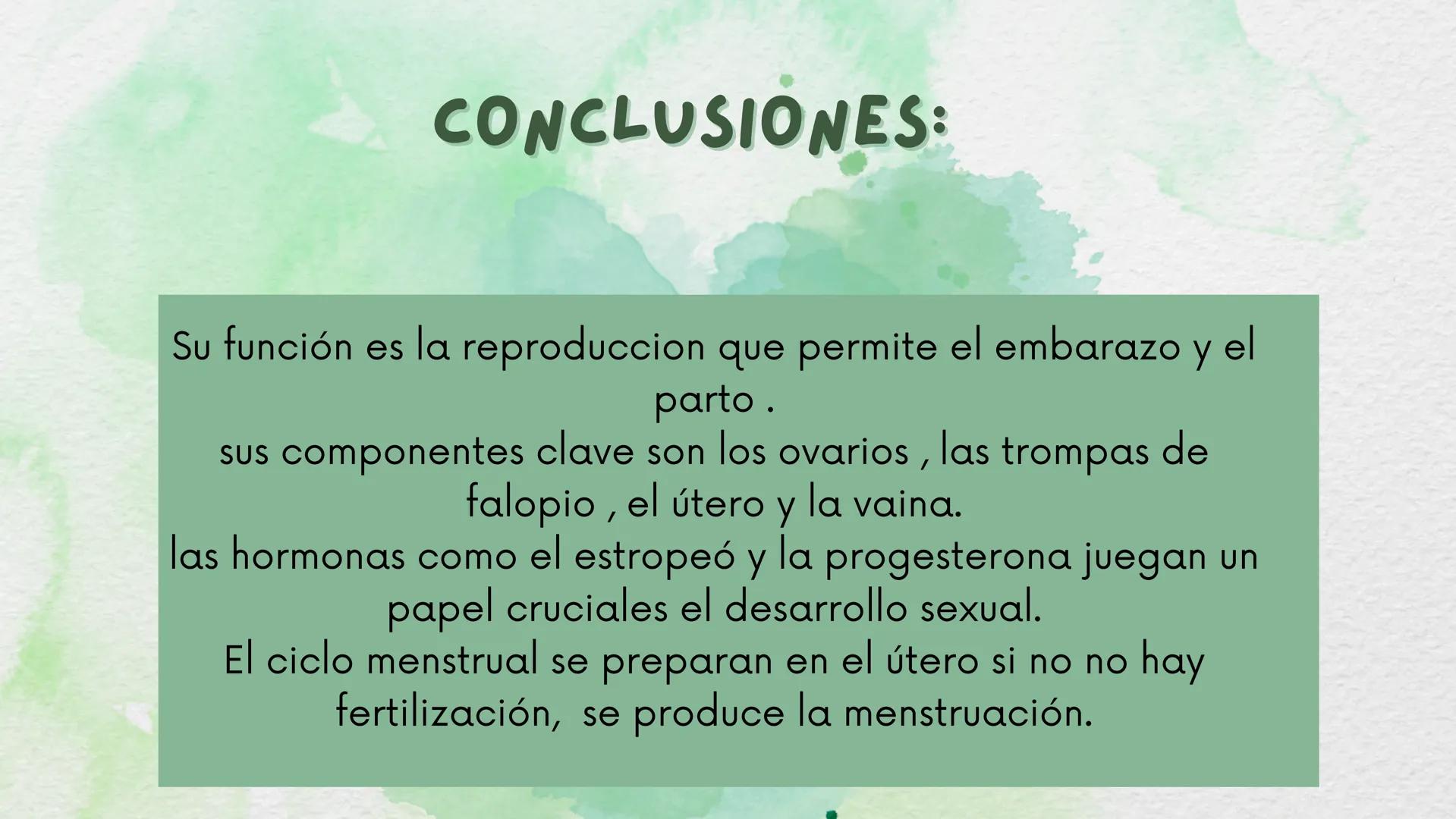 # ANATOMÍA DEL SISTEMA
# REPRODUCTOR
# FEMENINO
Mabel Yineth castellanos # INTRODUCCIÓN:
Esta conformado por estructuras y órganos estas